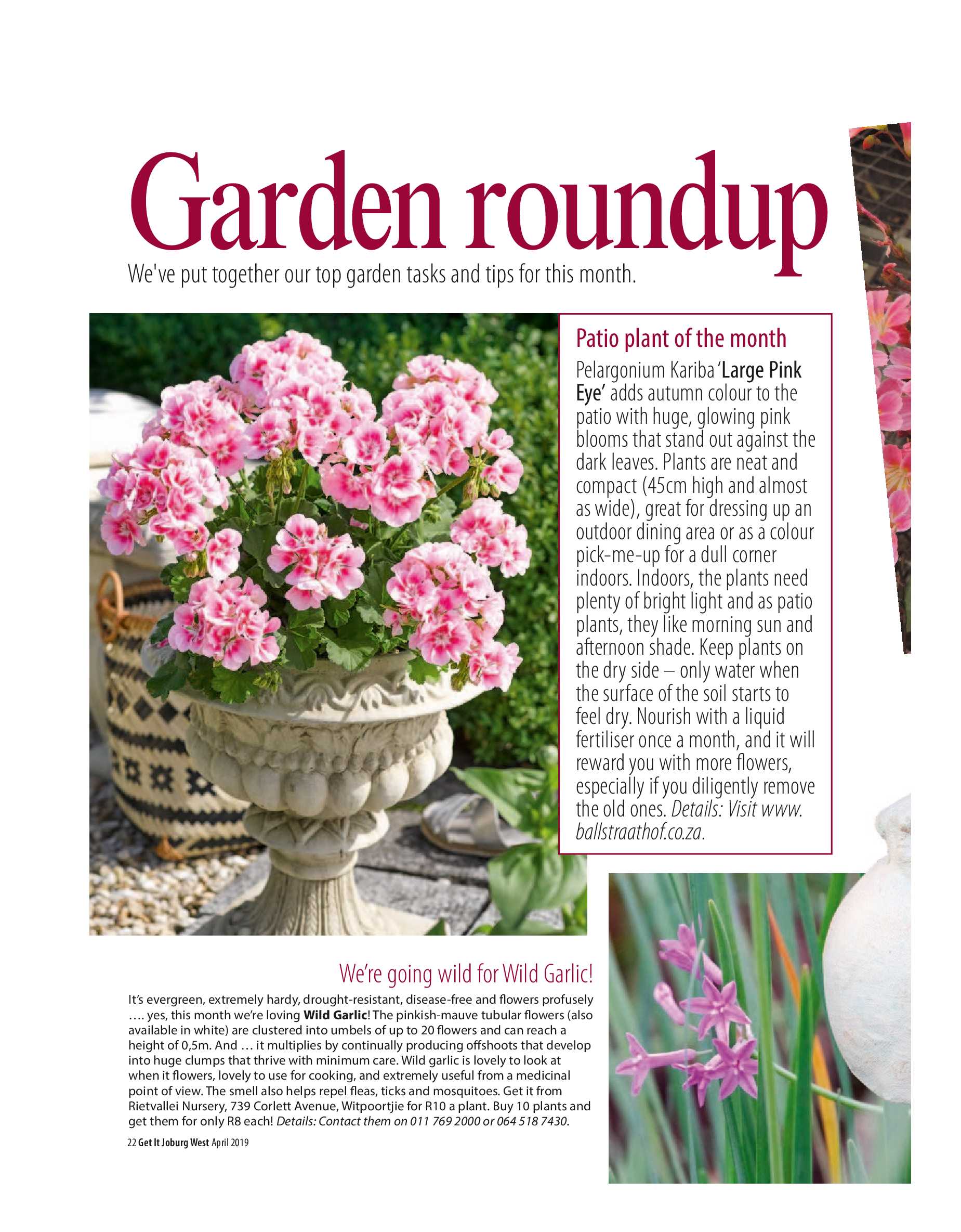 Get it JHB West – April 2019 page 22