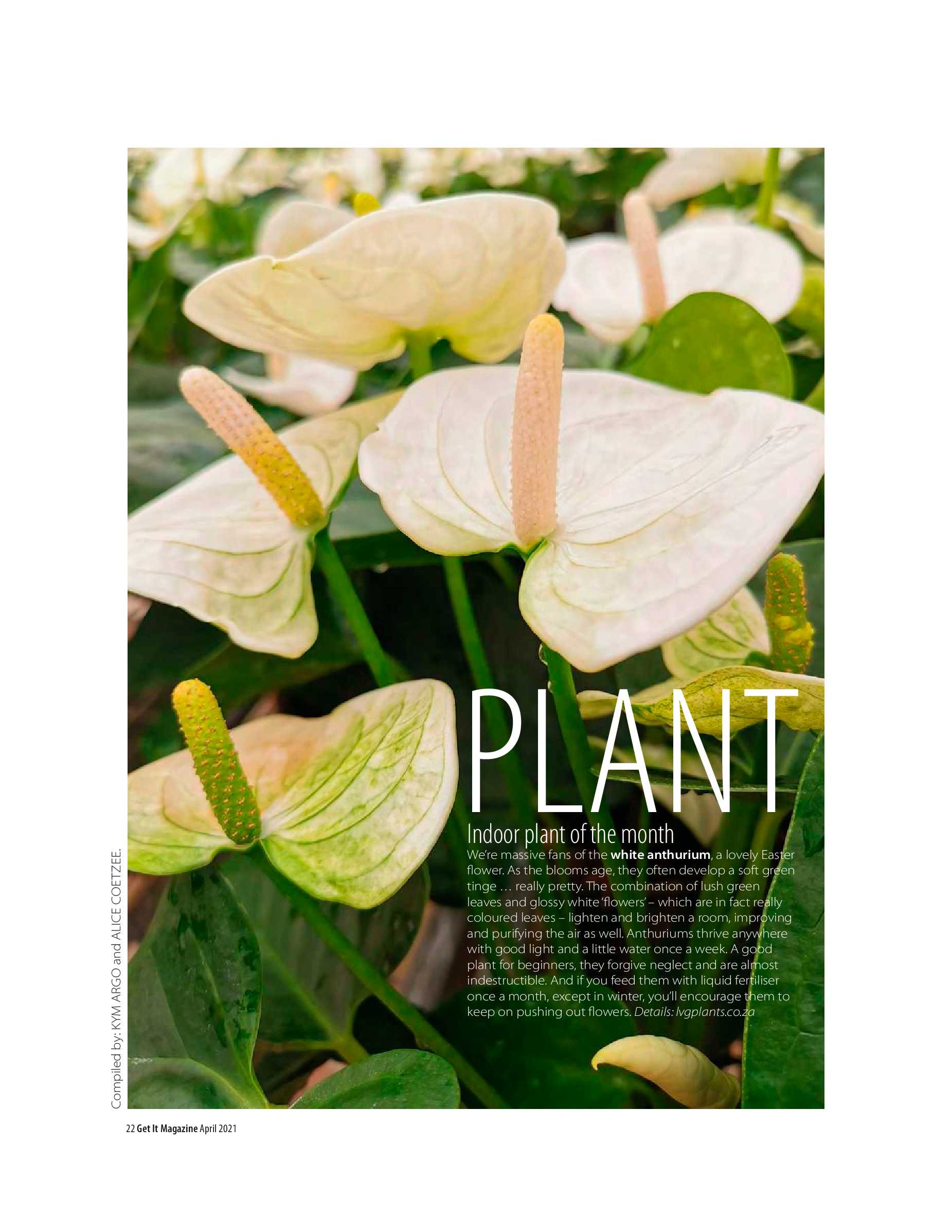 Get it JHB West – April 2021 page 22