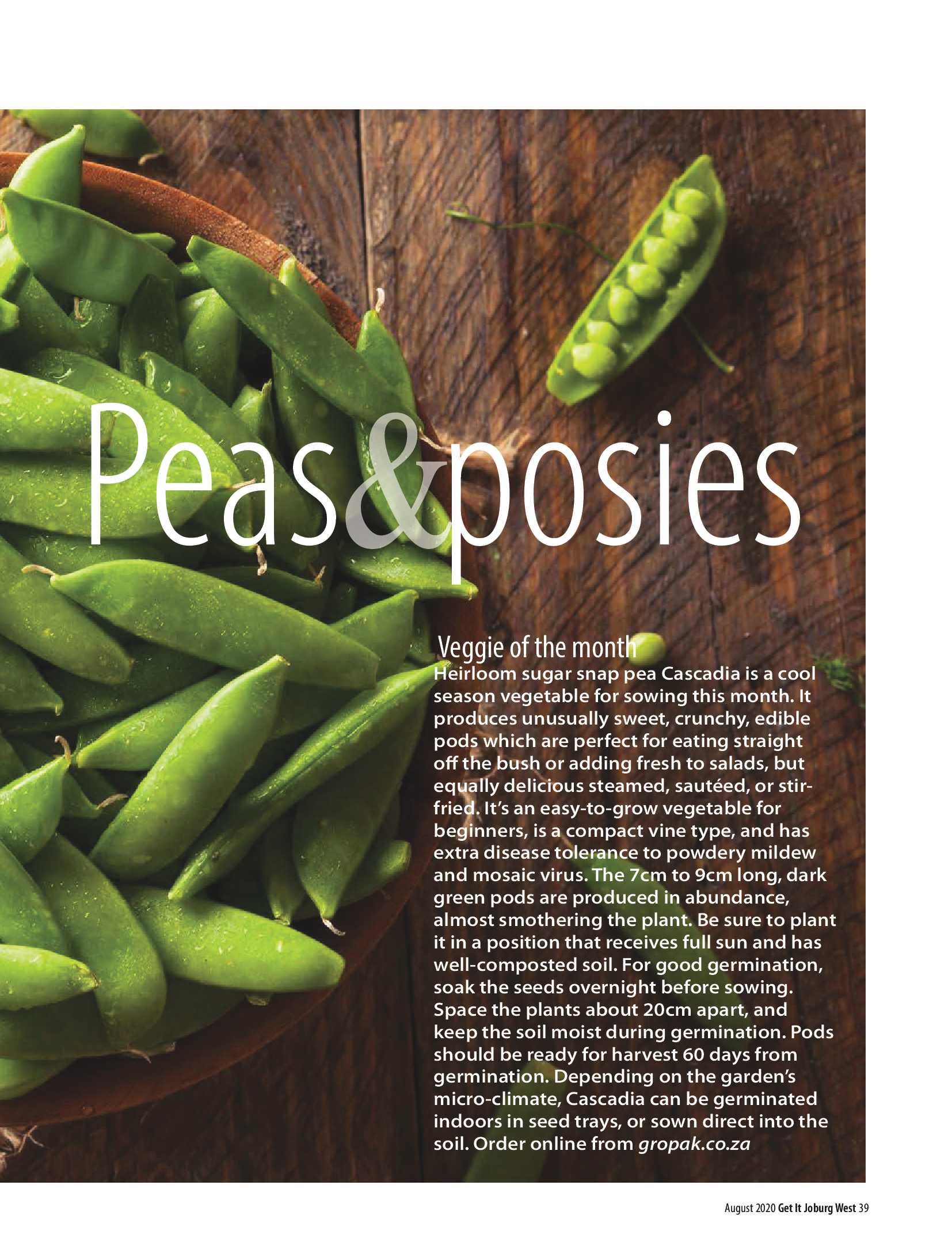 Get it JHB West – August 2020 page 39