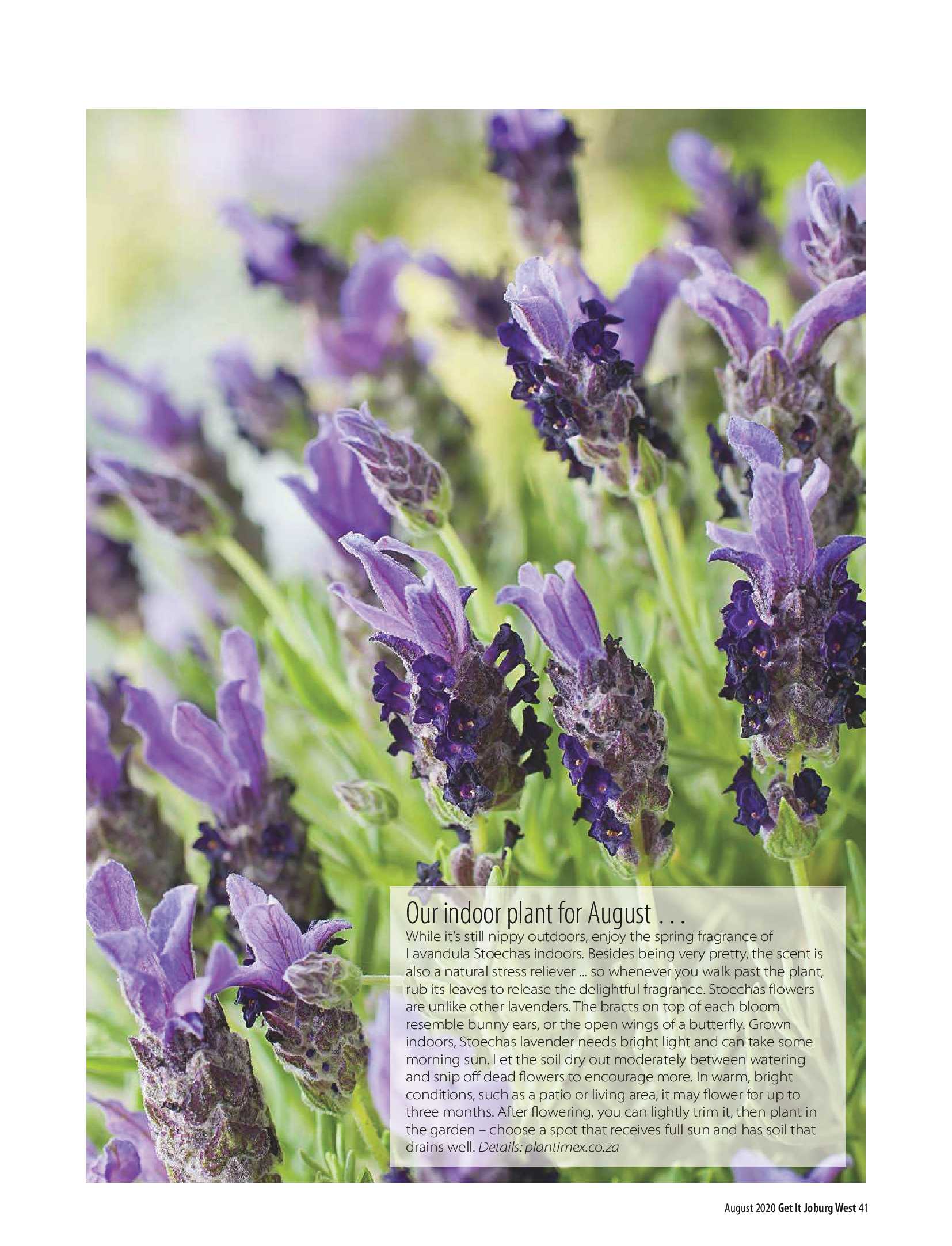 Get it JHB West – August 2020 page 41