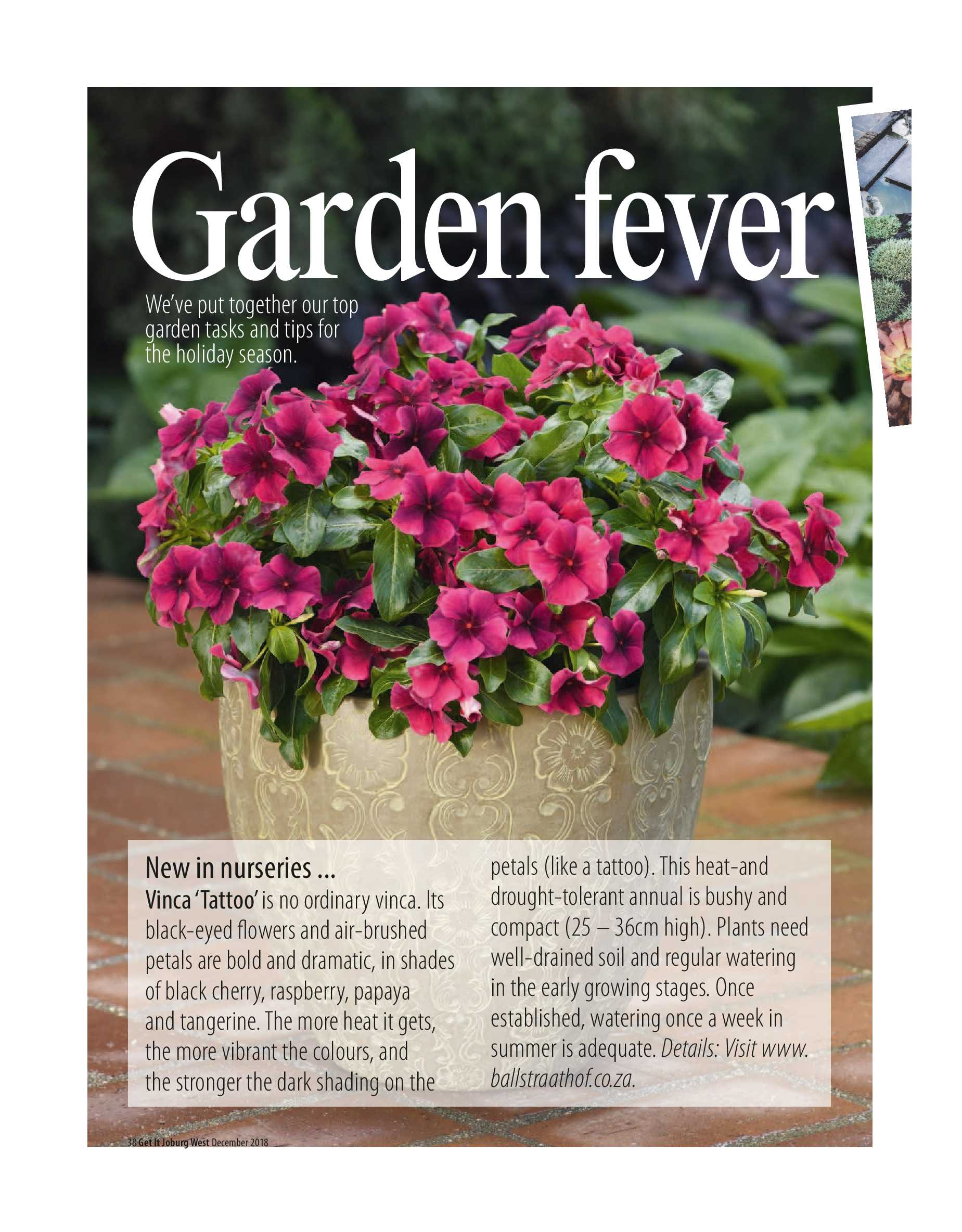 Get it JHB West – Dec 2018 – Jan 2019 page 38