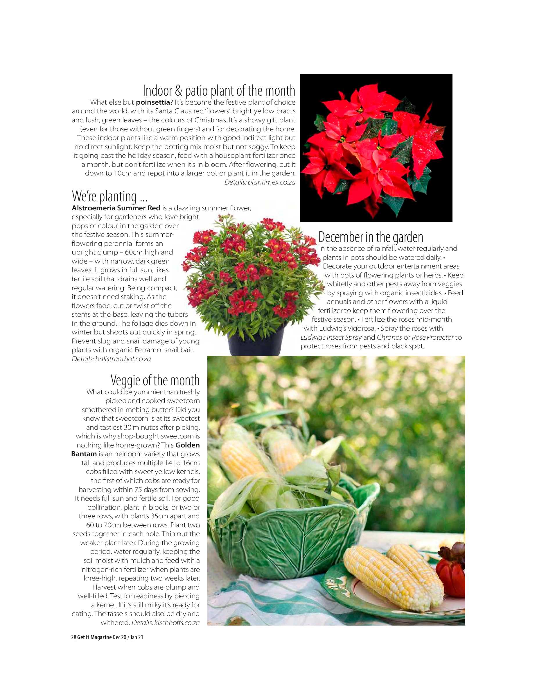 Get it JHB West – Dec 2020 – Jan 2021 page 28