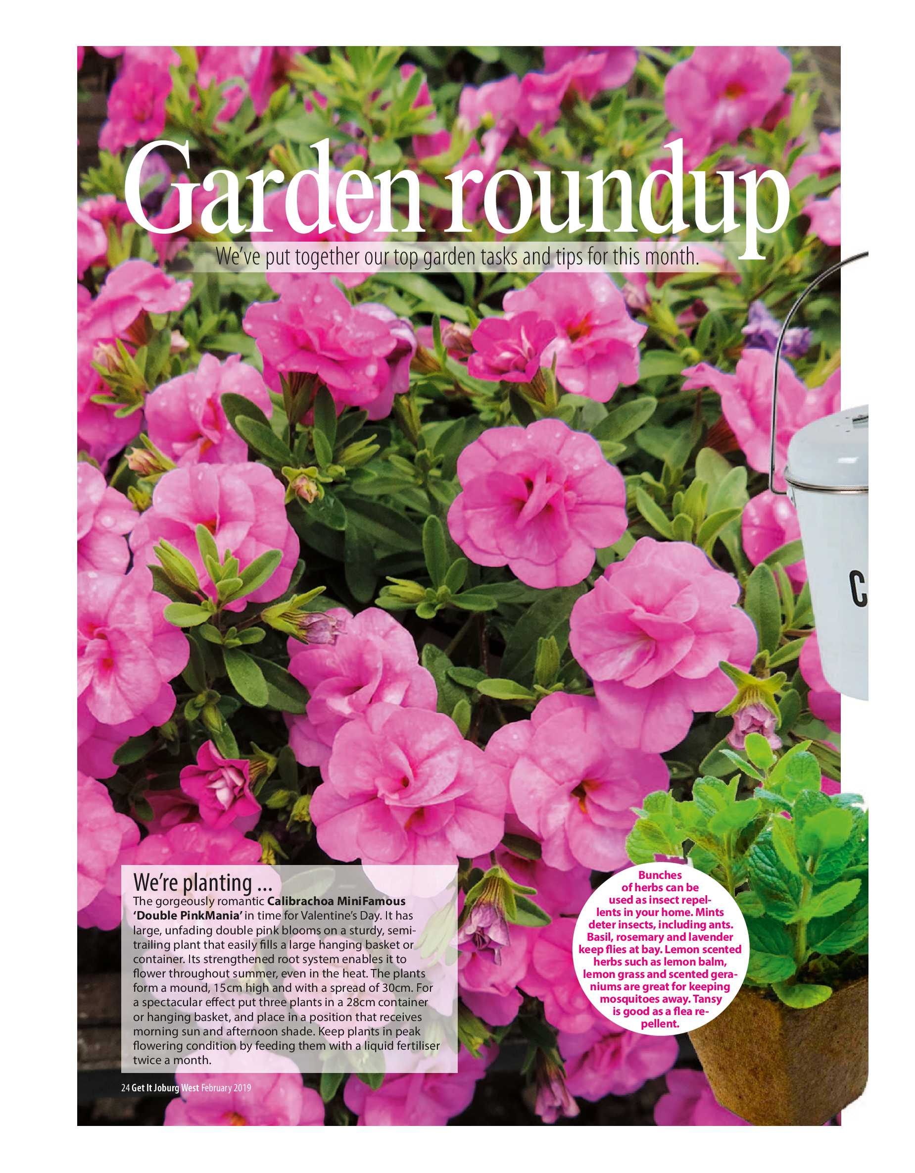 Get it JHB West – February 2019 page 24