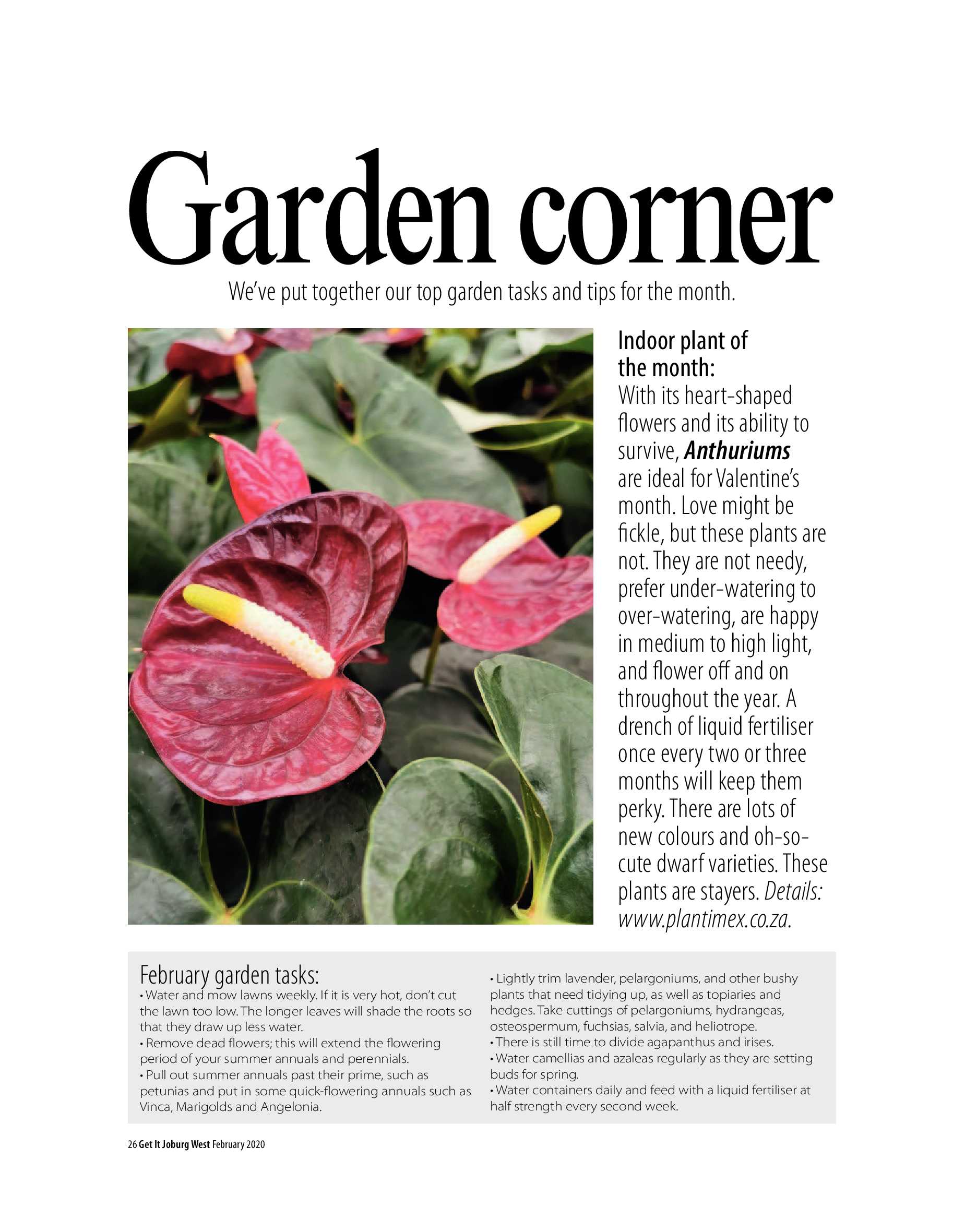 Get it JHB West – February 2020 page 26