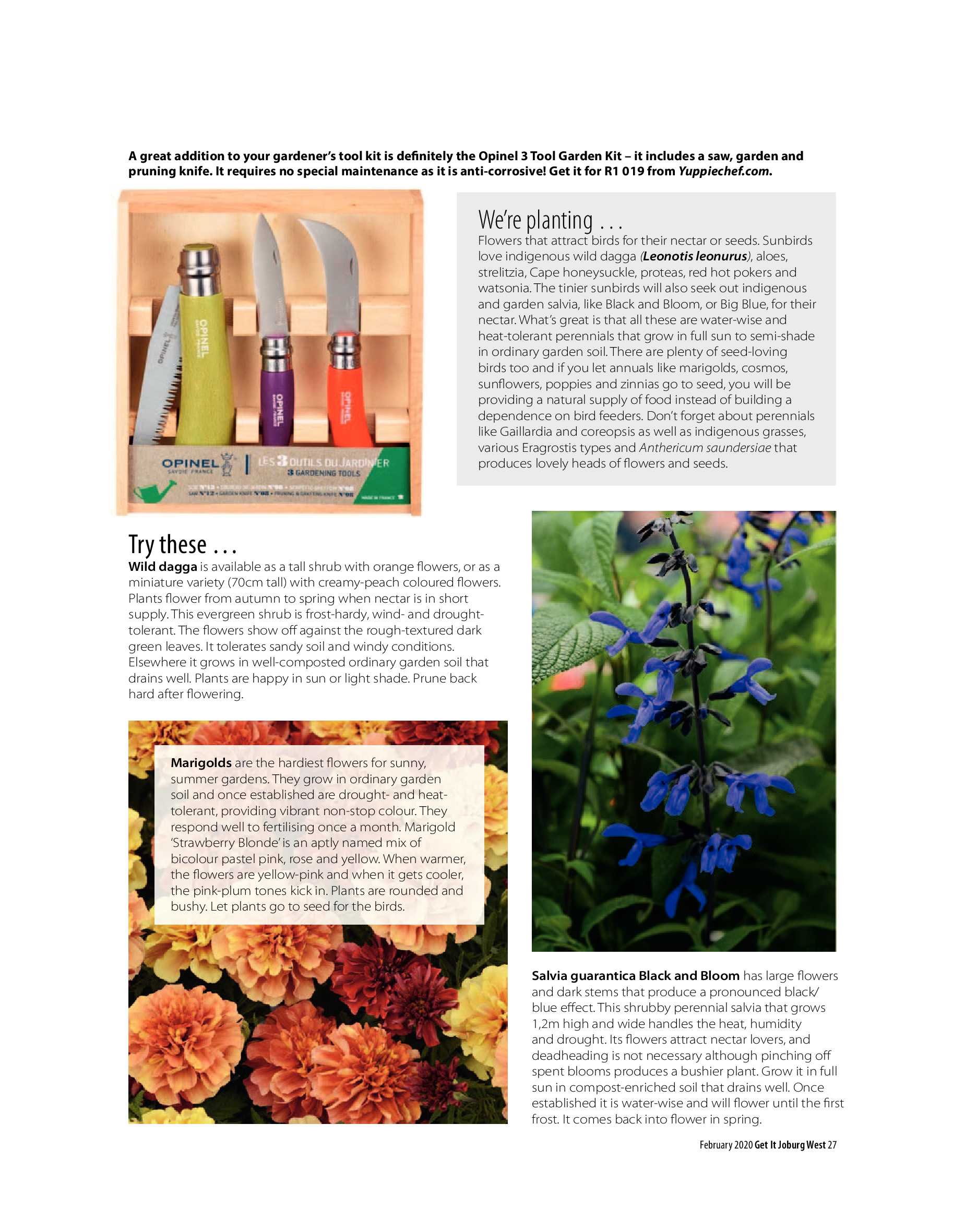 Get it JHB West – February 2020 page 27