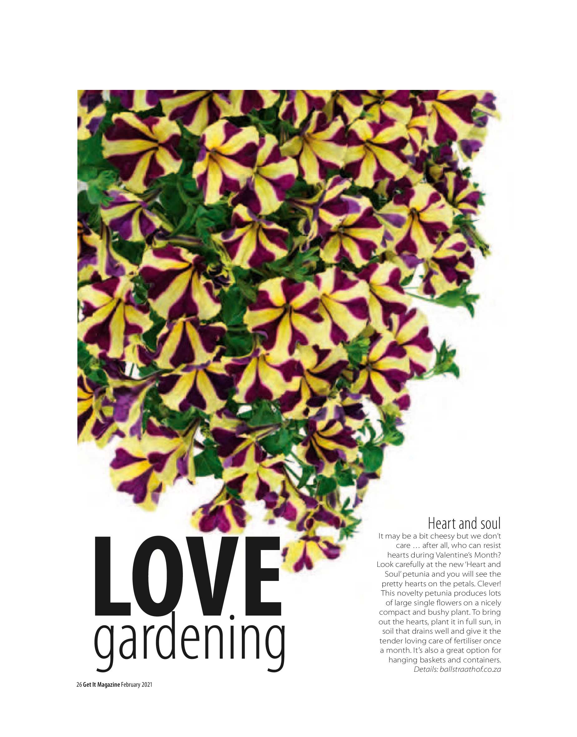 Get it JHB West – February 2021 page 26