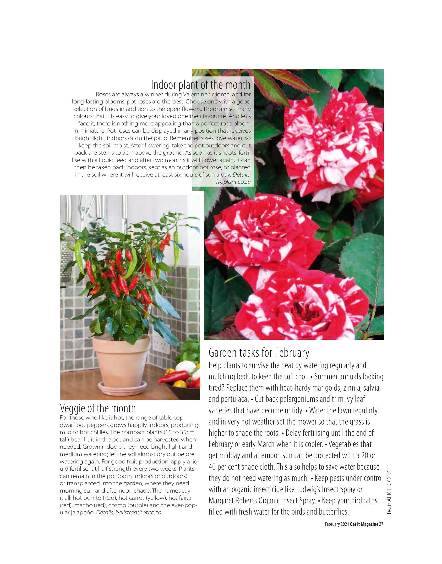 Get it JHB West – February 2021 page 27