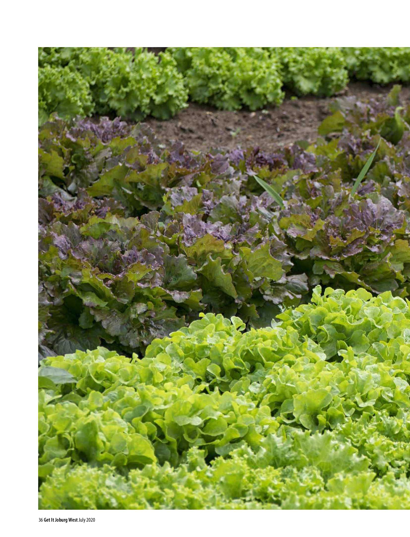 Get it JHB West – July 2020 page 36