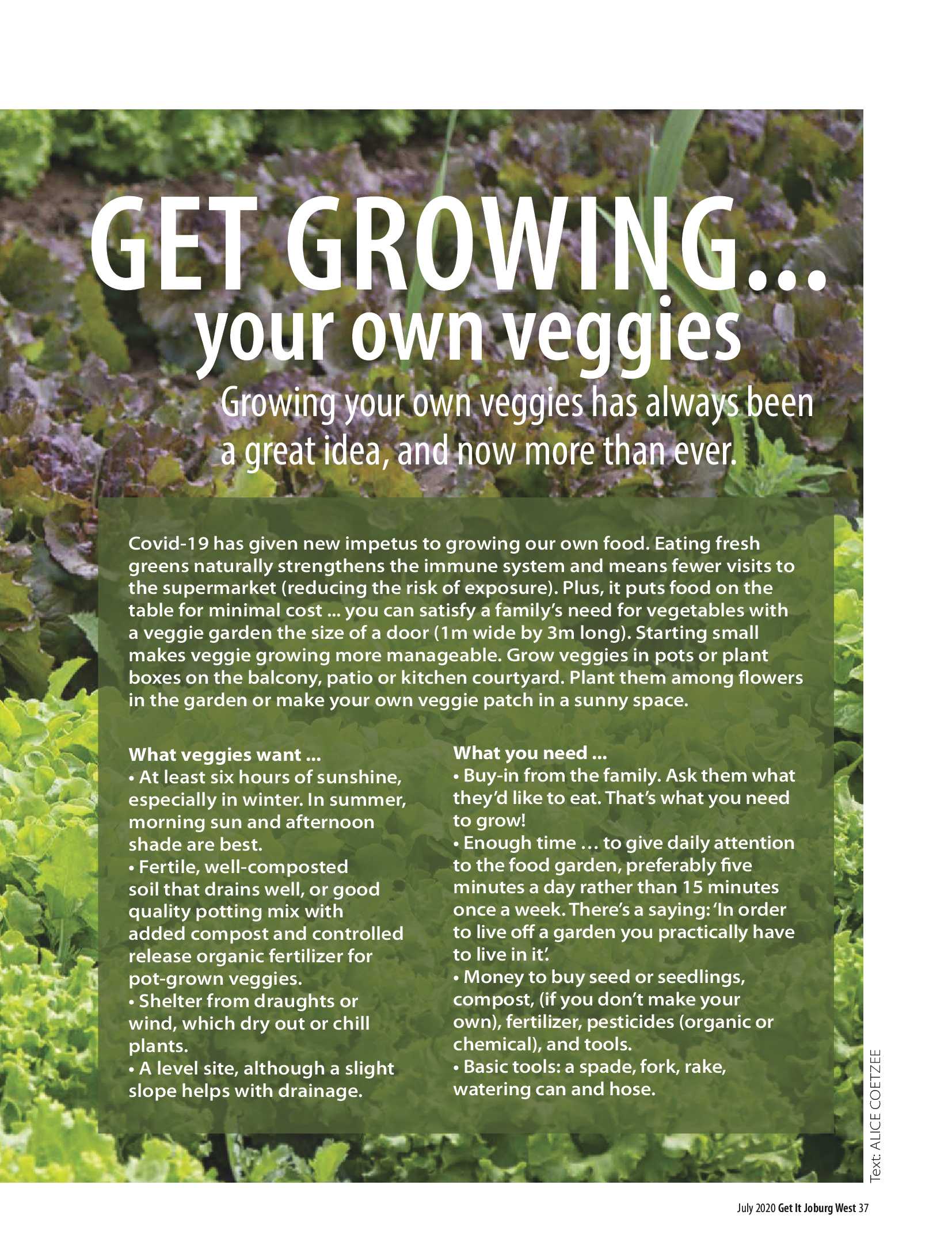 Get it JHB West – July 2020 page 37