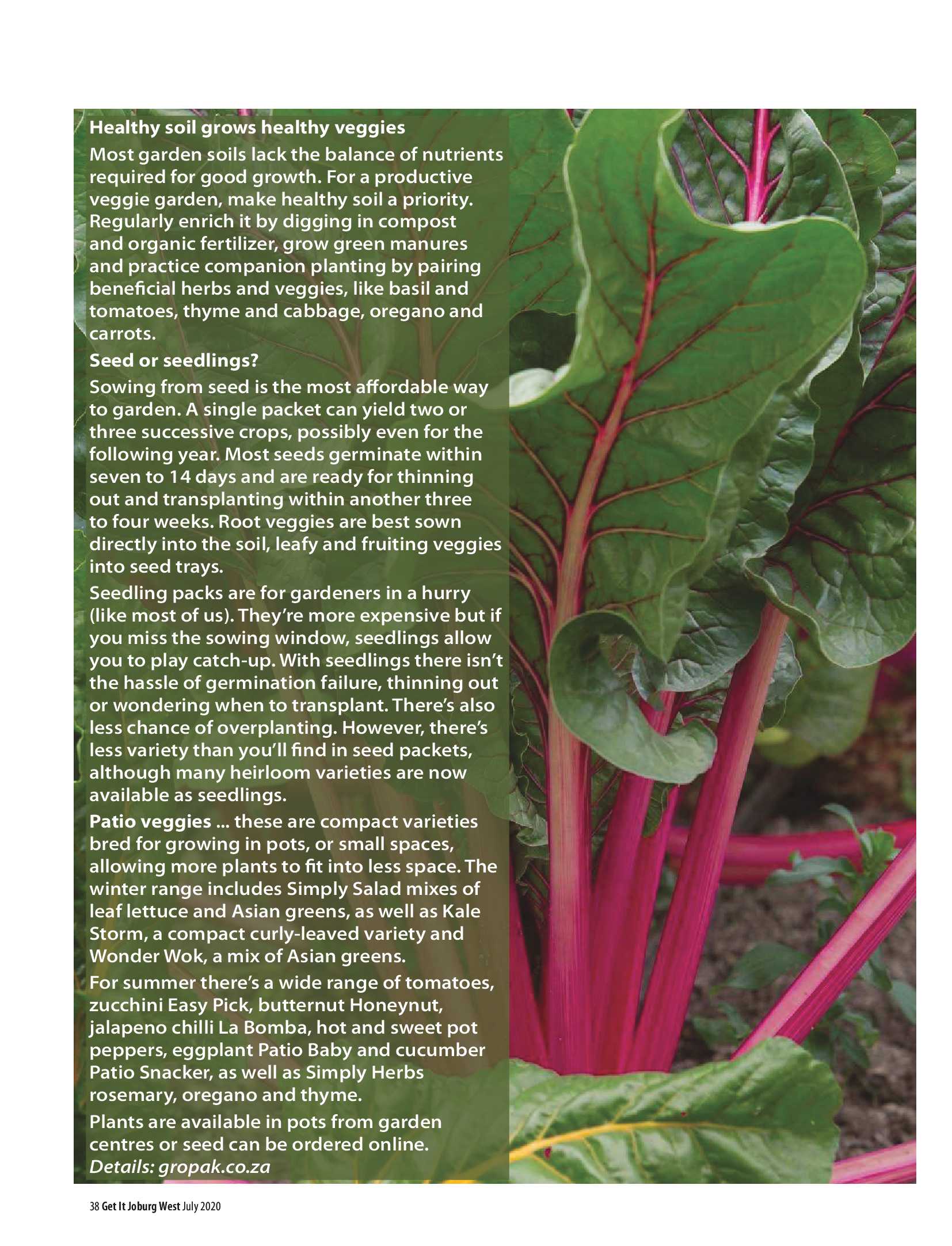 Get it JHB West – July 2020 page 38