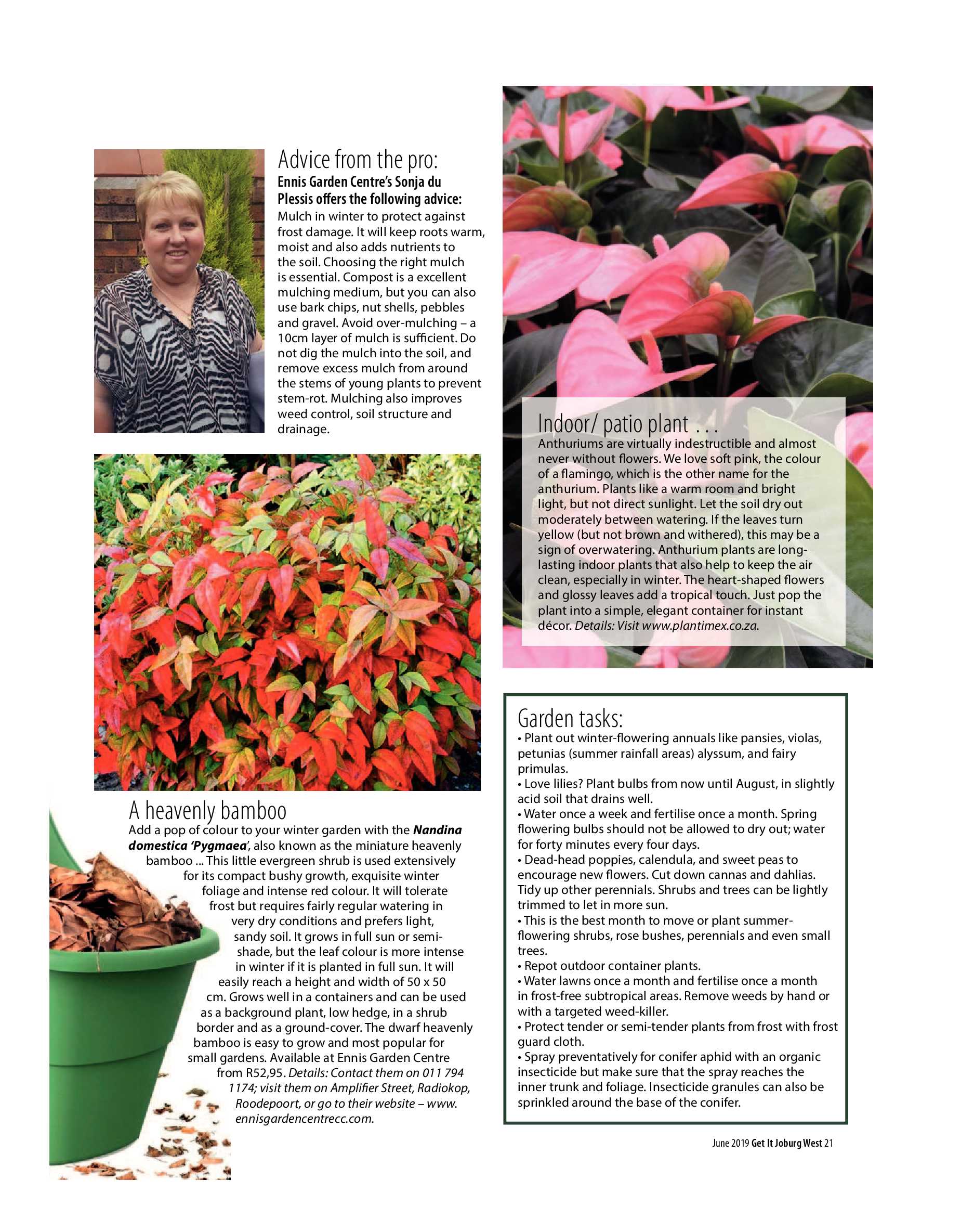 Get it JHB West – June 2019 page 21