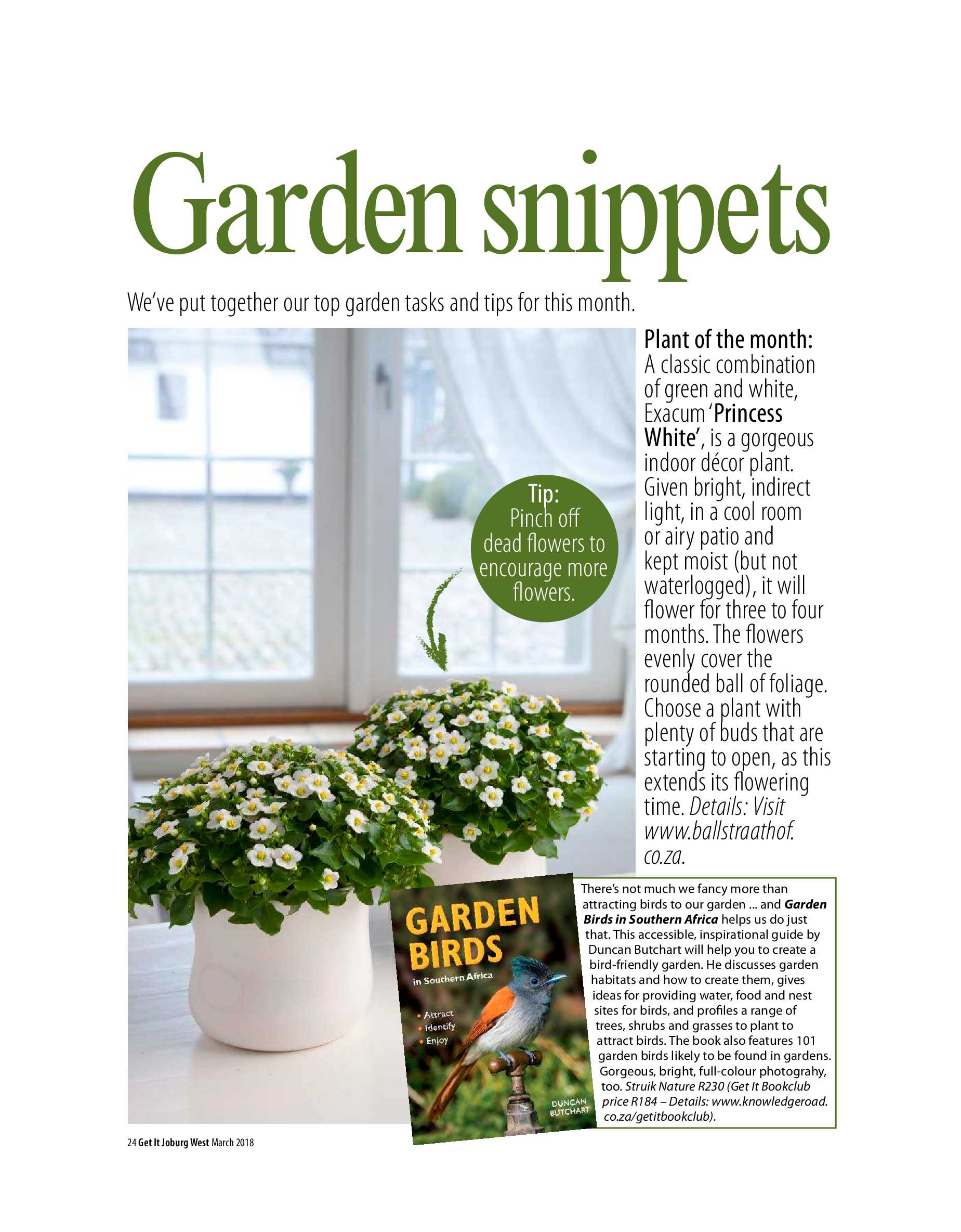 Get it JHB West – March 2018 page 24