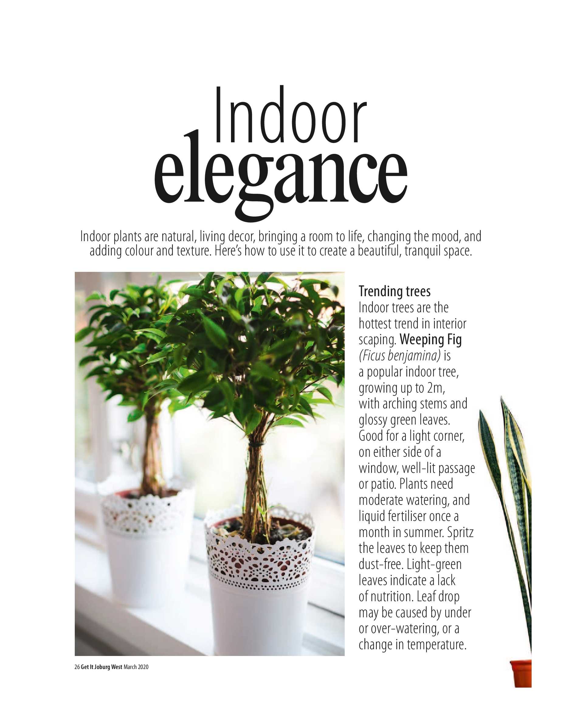 Get it JHB West – March 2020 page 26