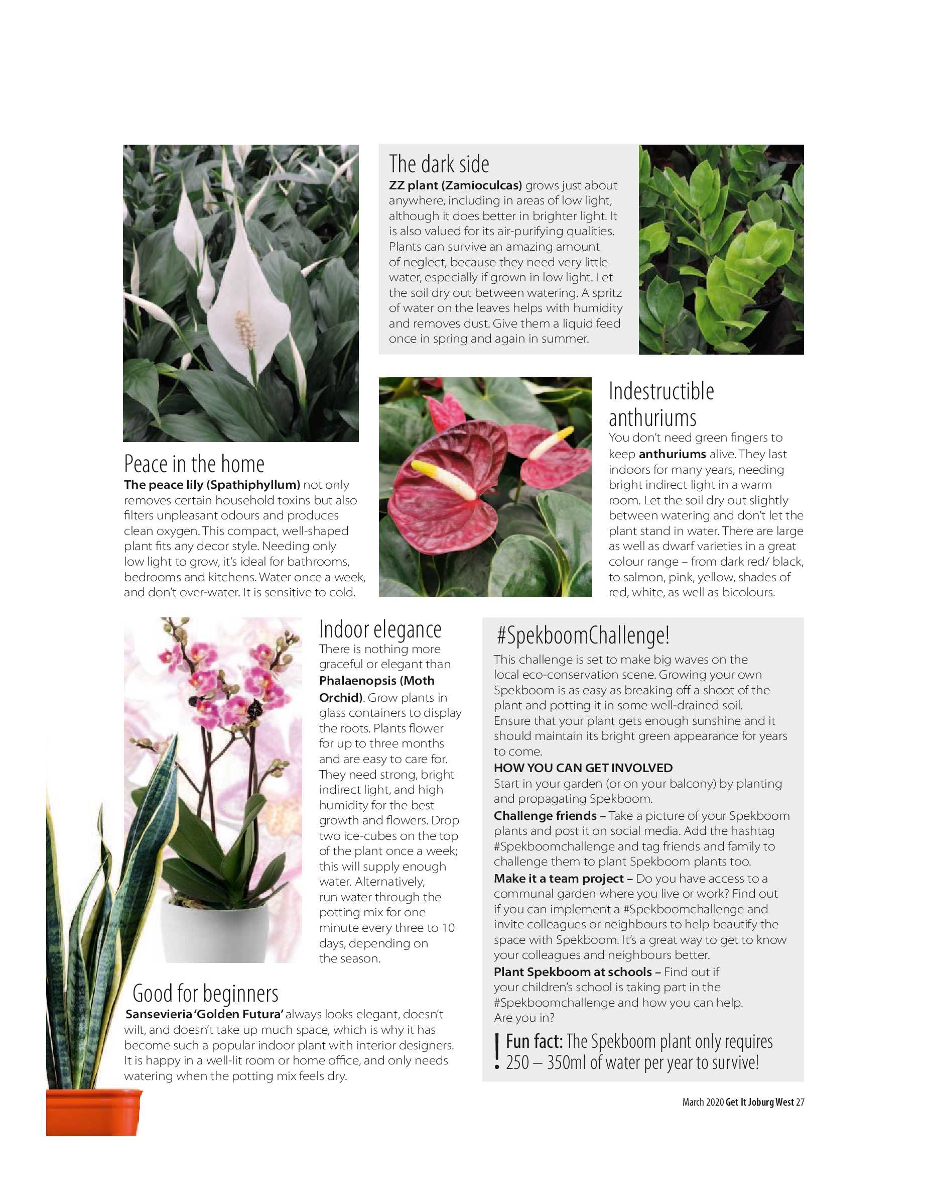 Get it JHB West – March 2020 page 27