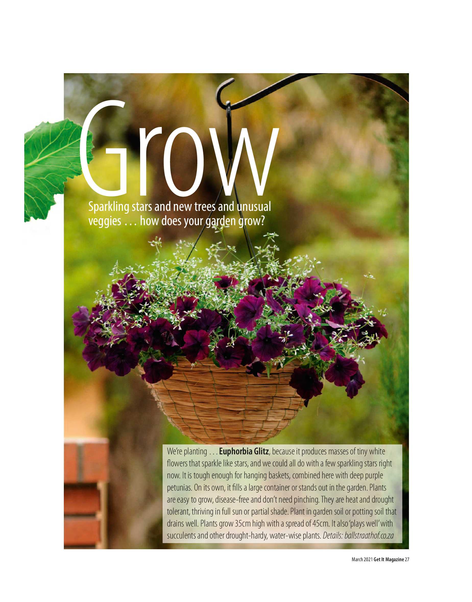 Get it JHB West – March 2021 page 27