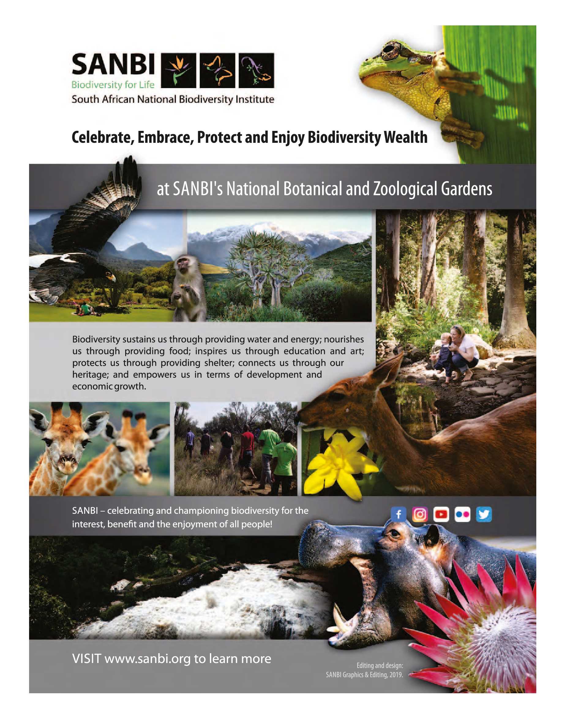 Get it JHB West – March 2021 page 36