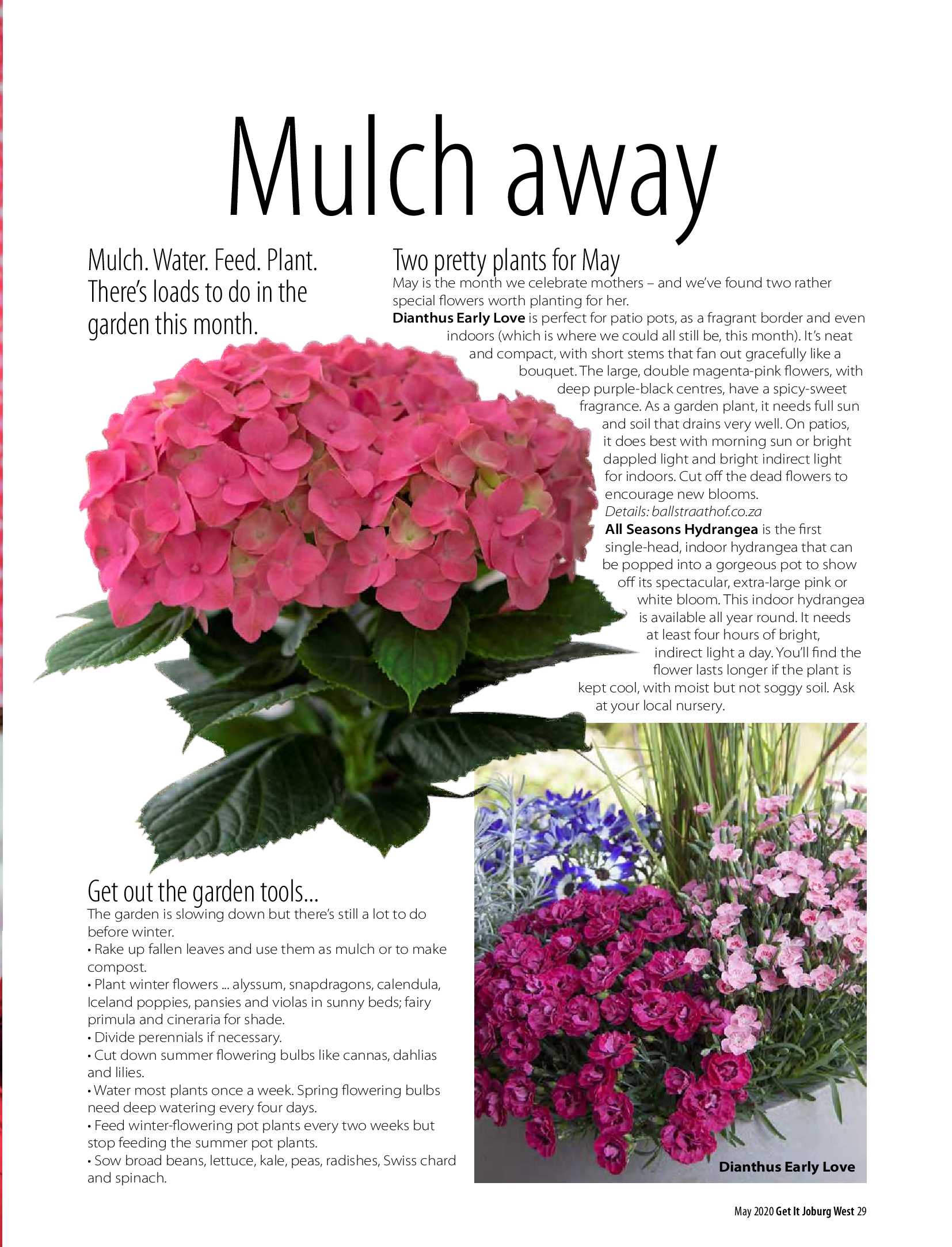 Get it JHB West – May 2020 page 29