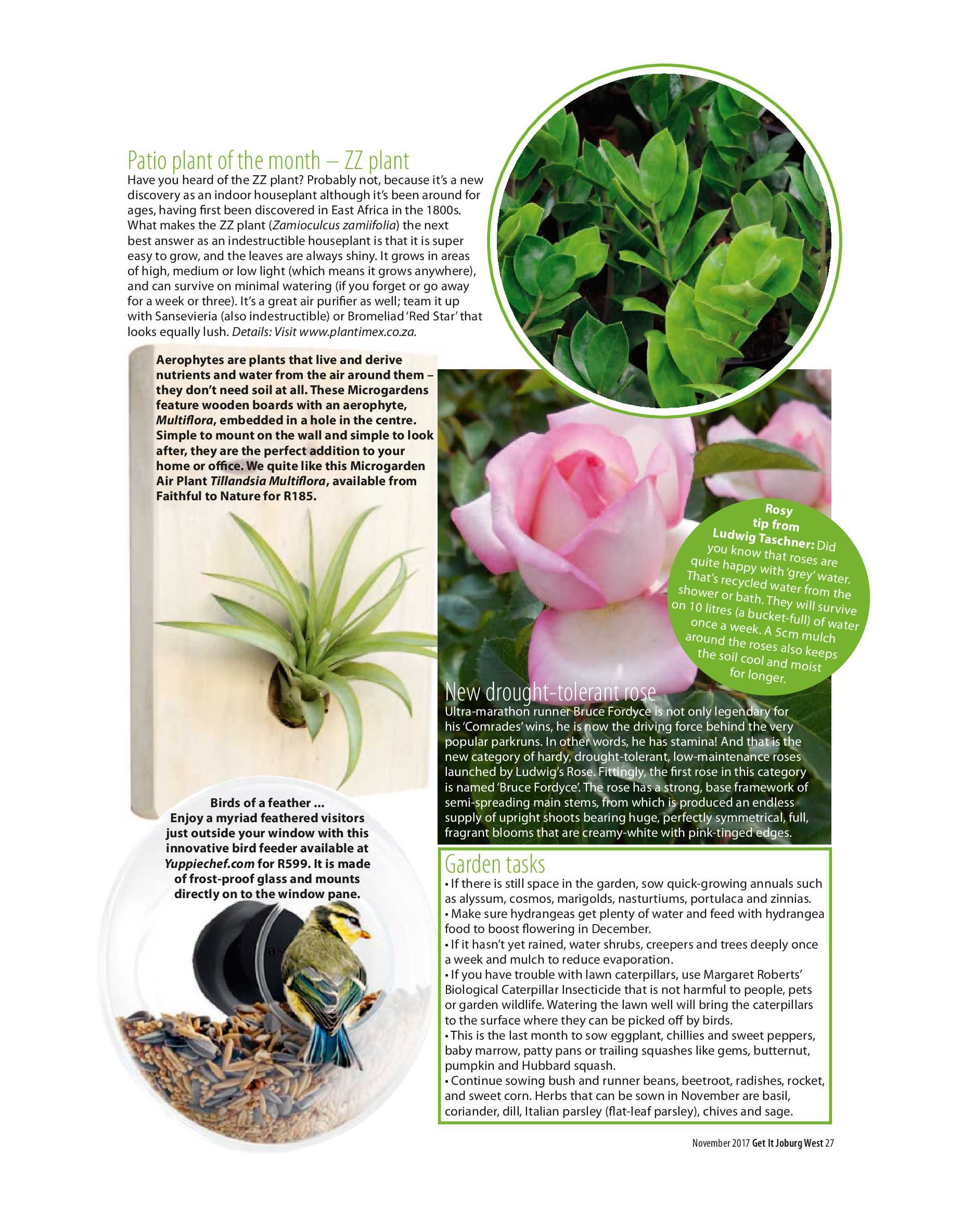 Get it JHB West – November 2017 page 27