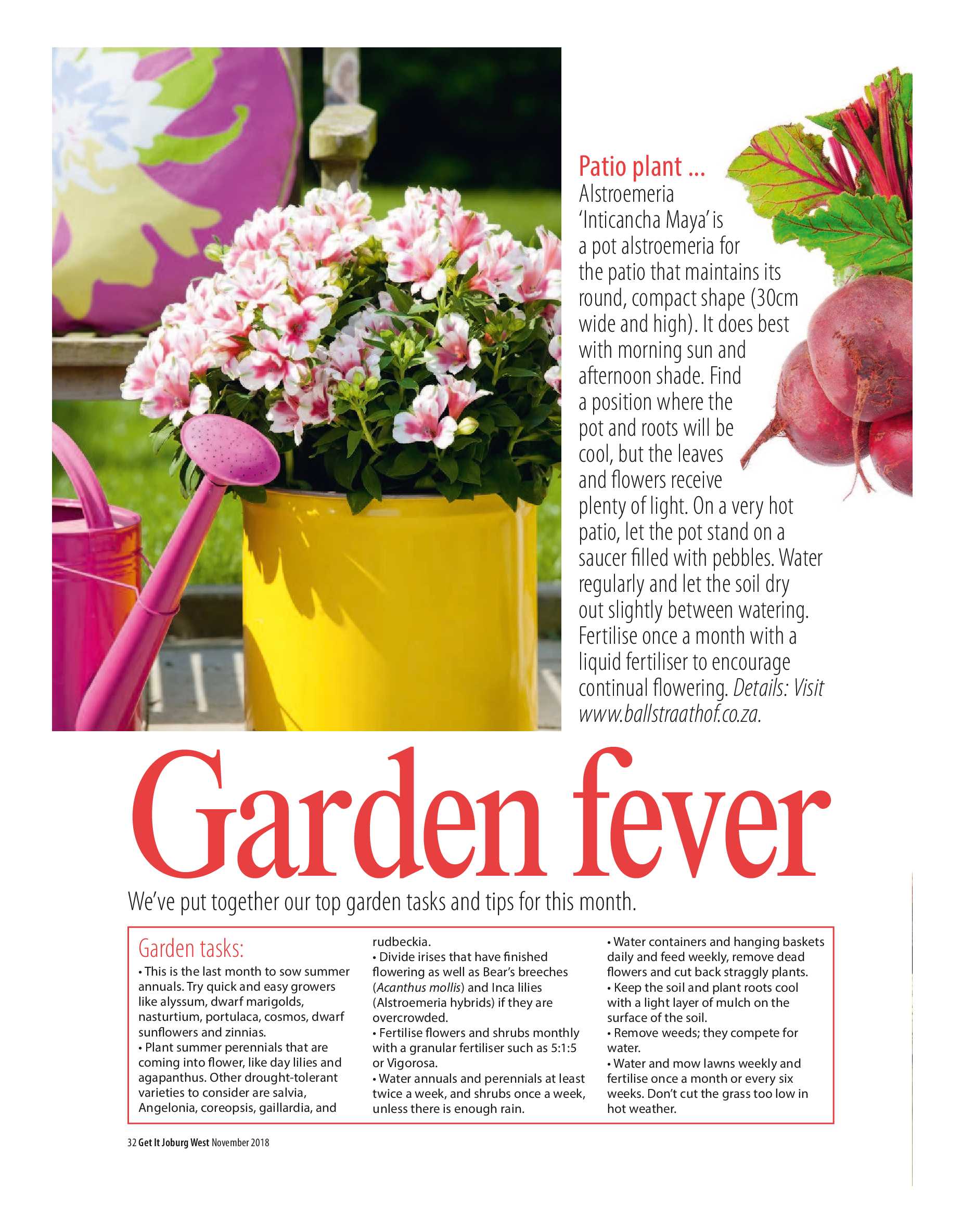 Get it JHB West – November 2018 page 32