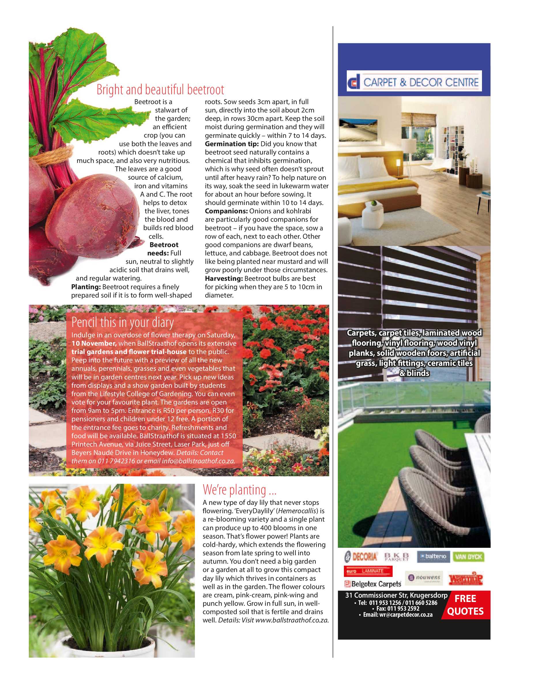 Get it JHB West – November 2018 page 33