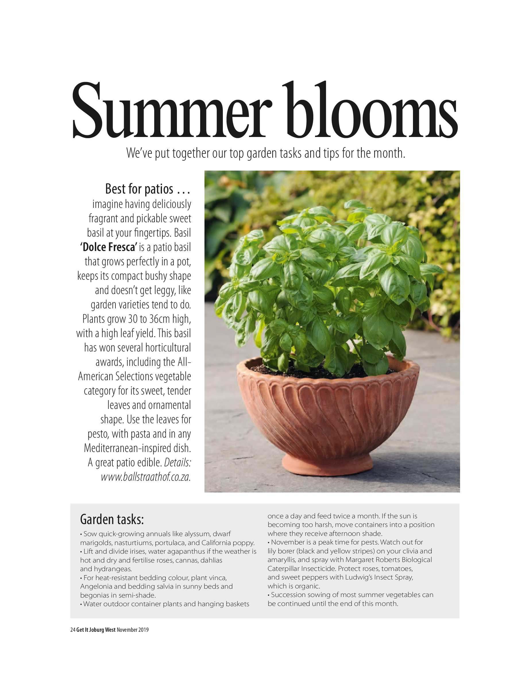 Get it JHB West – November 2019 page 24