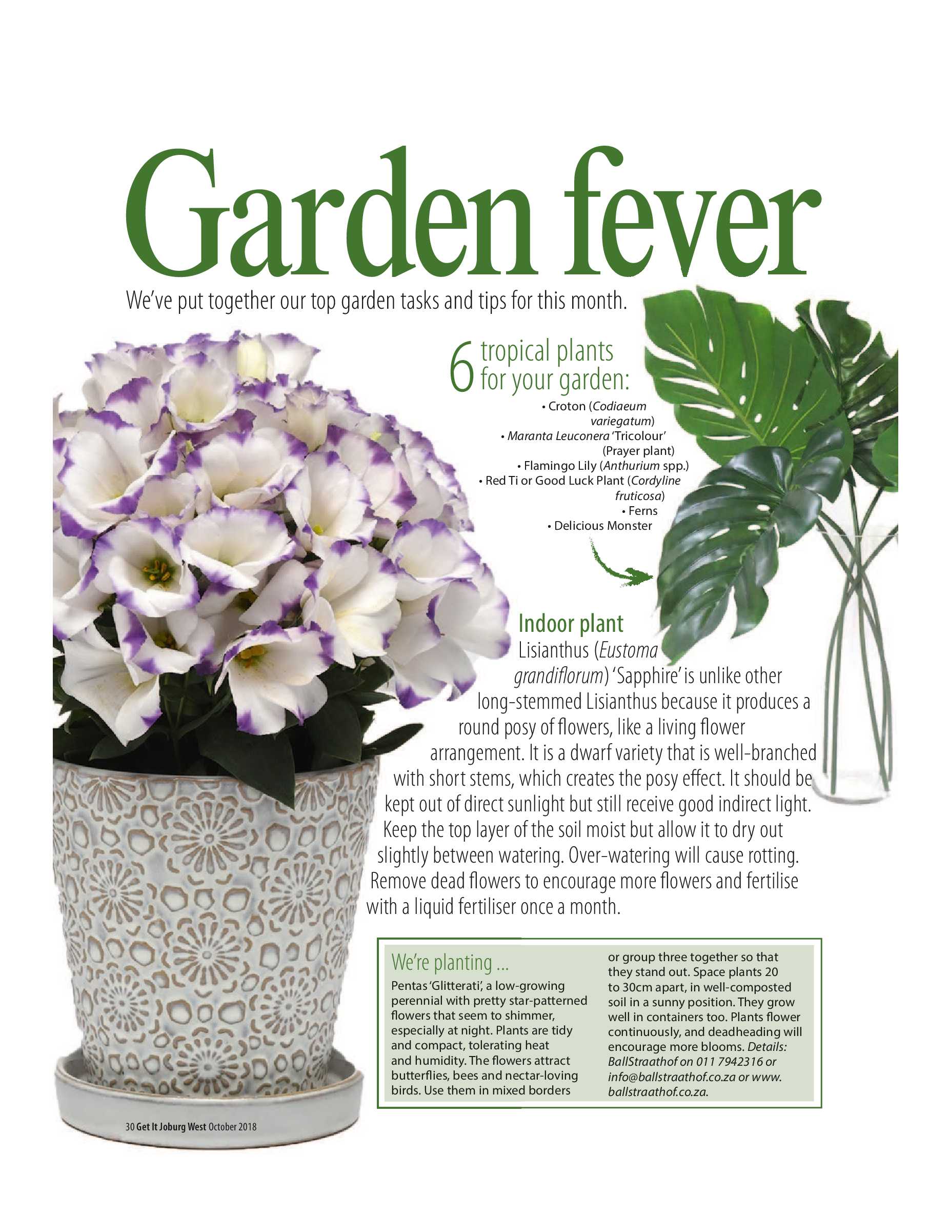 Get it JHB West – October 2018 page 30