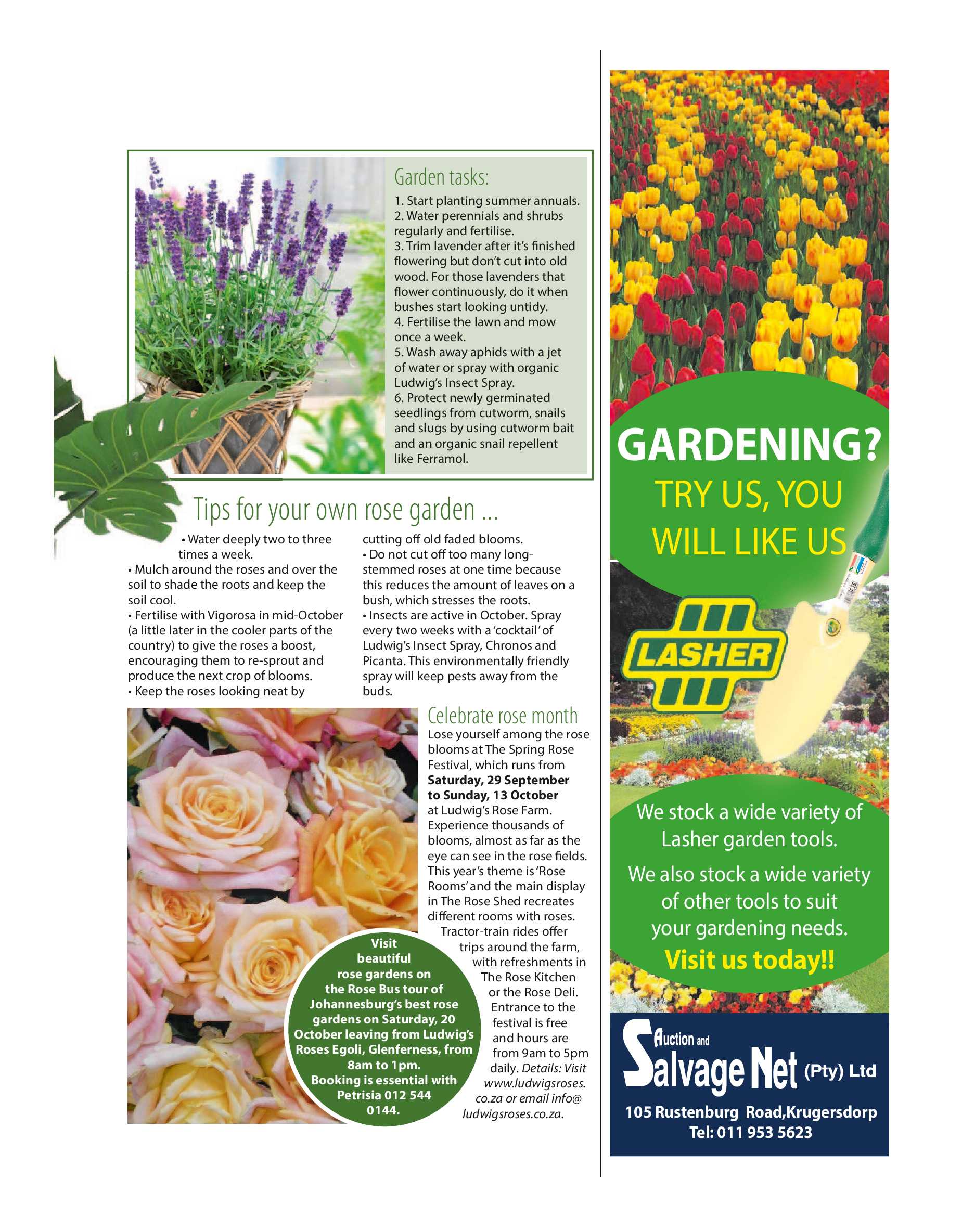 Get it JHB West – October 2018 page 31