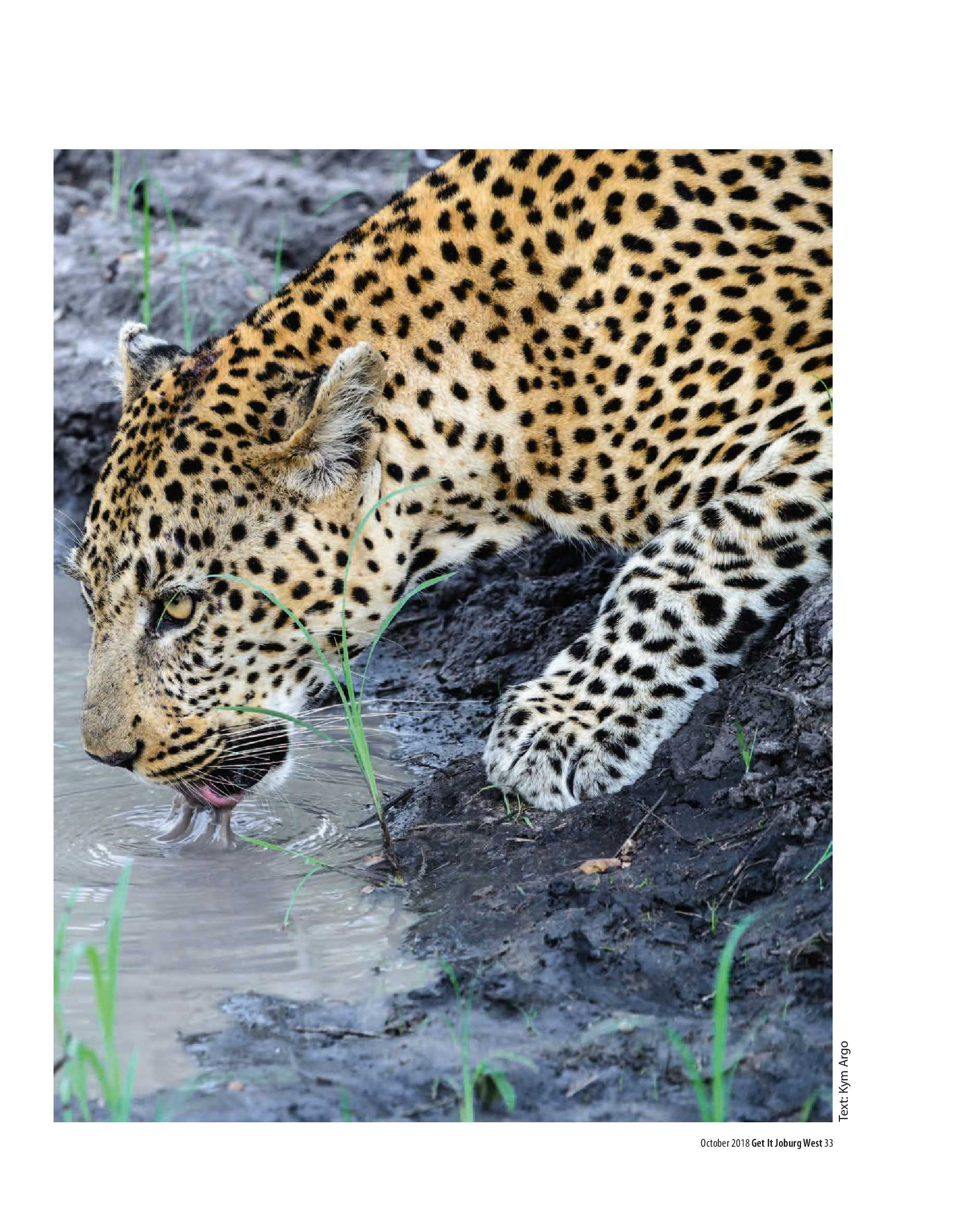 Get it JHB West – October 2018 page 33