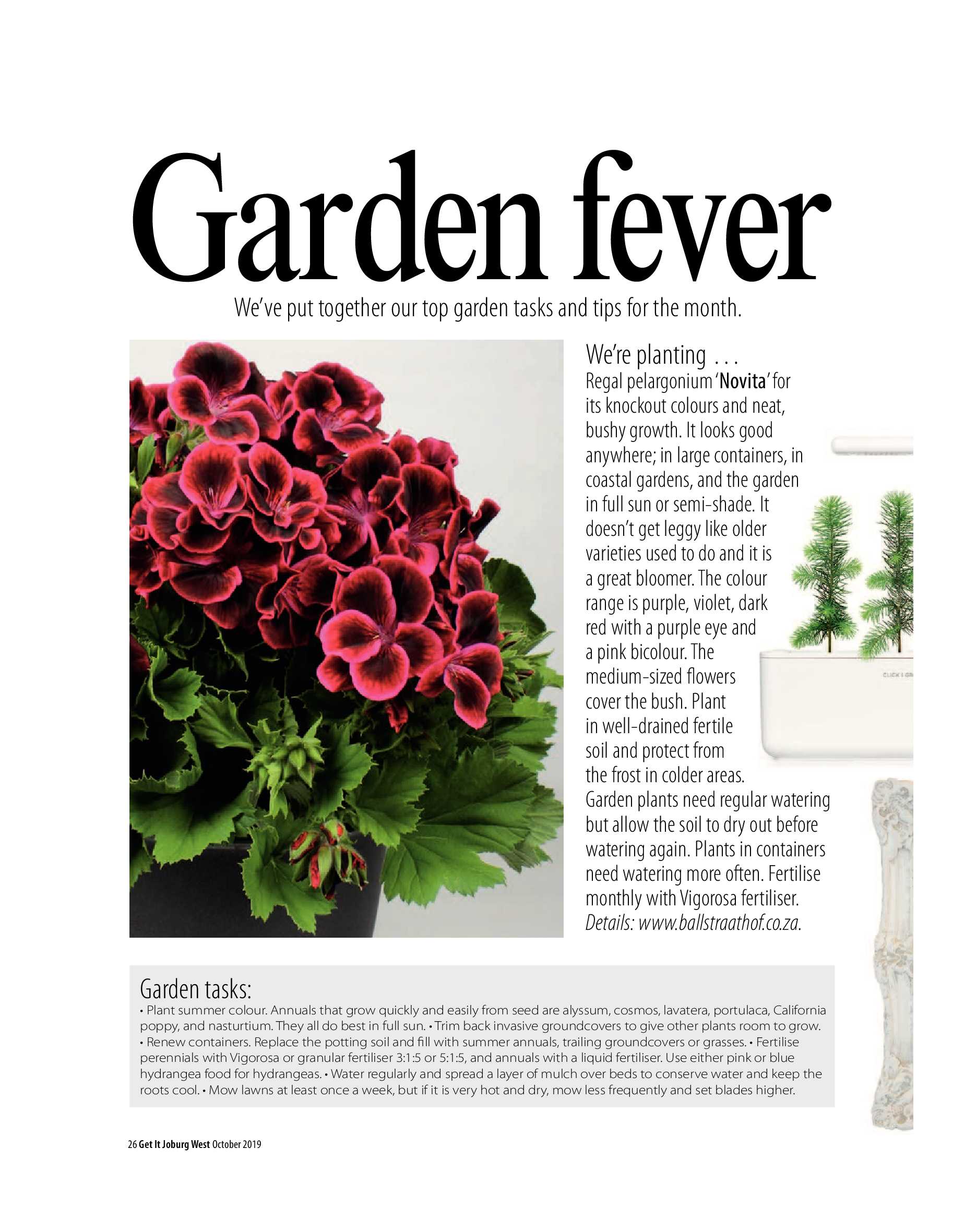 Get it JHB West – October 2019 page 26