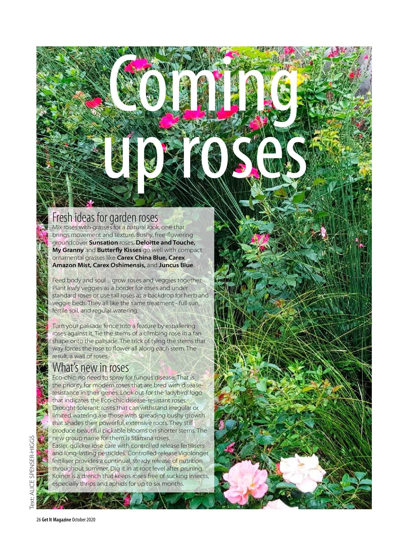 Get it JHB West – October 2020 page 26