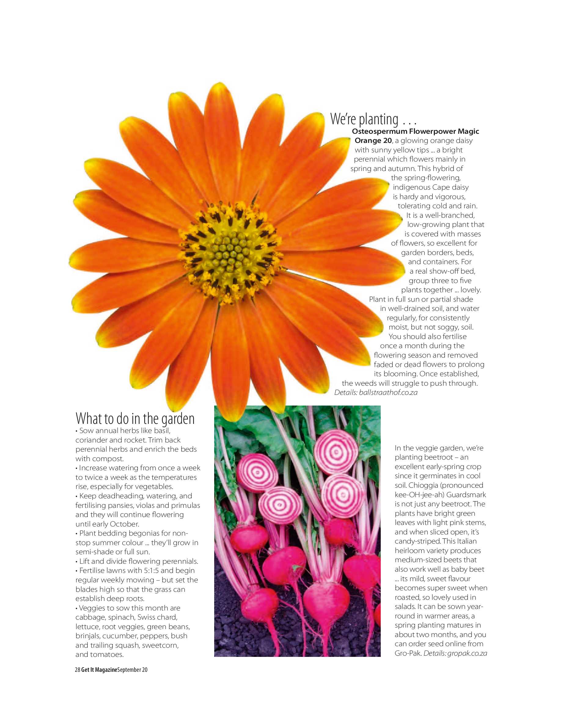 Get it JHB West – September 2020 page 28