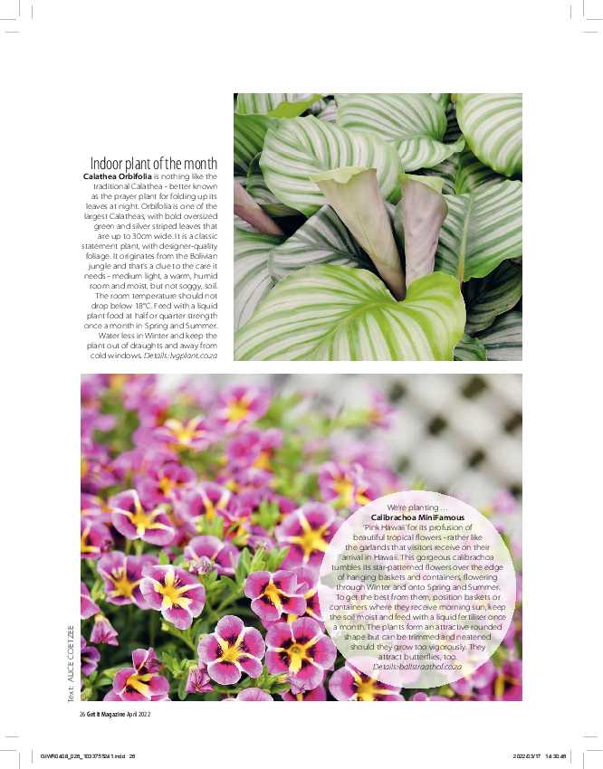 Get it JHB West – April 2022 page 26