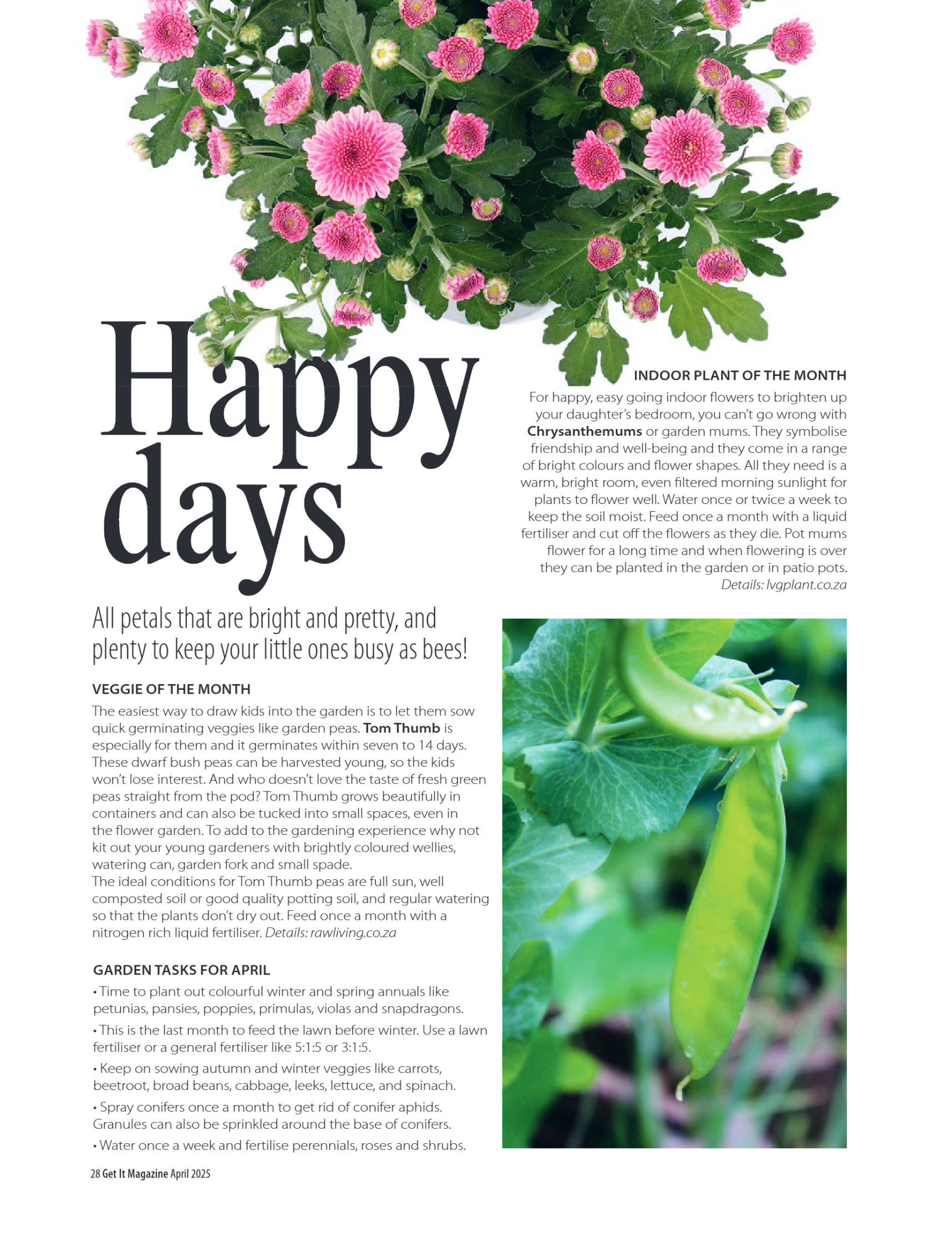 Get it JHB West – April 2025 page 28