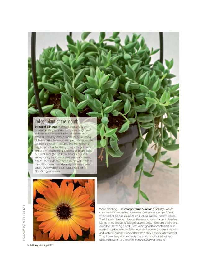 Get it JHB West – August 2021 page 24