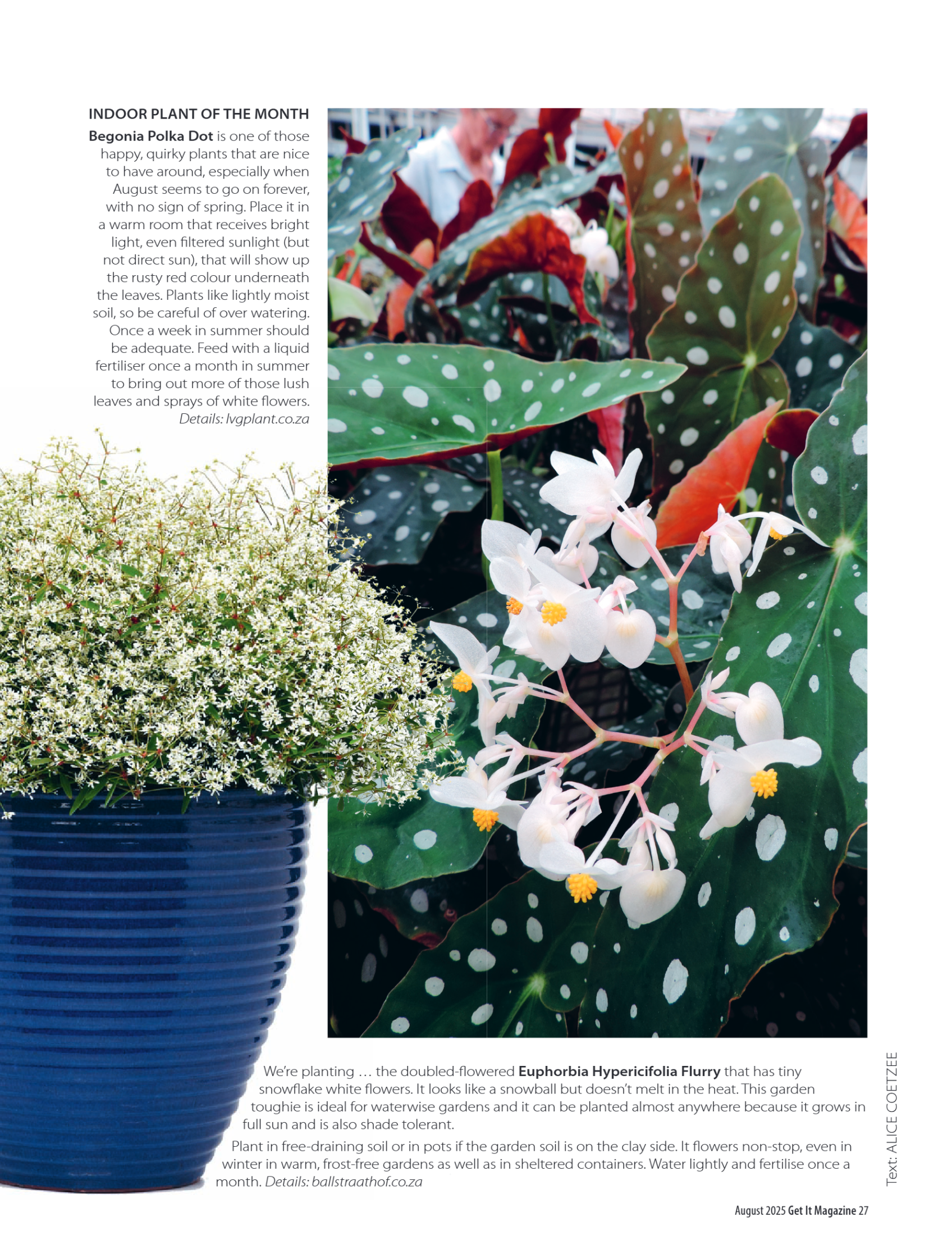 Get it JHB West – August 2025 page 27