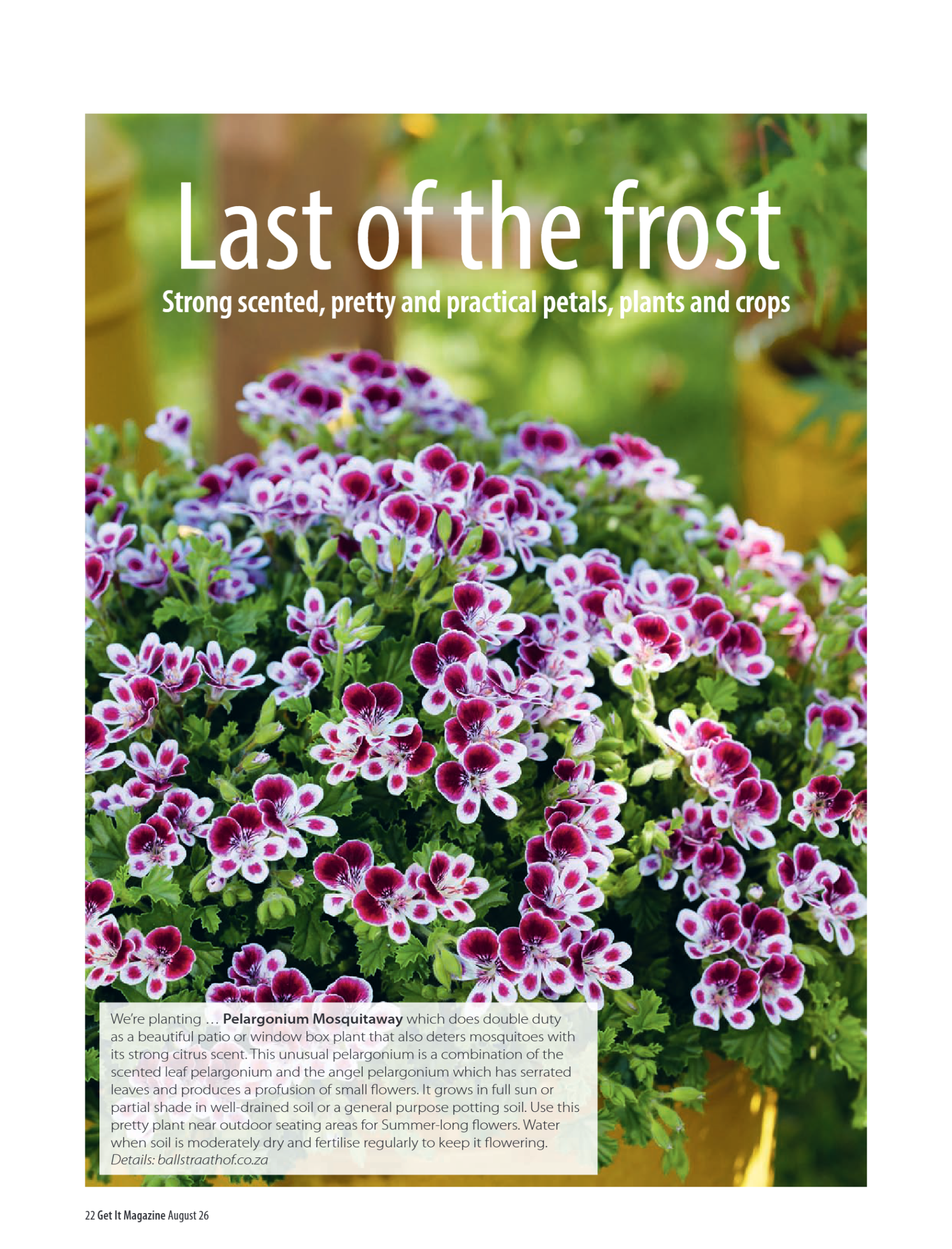Get it JHB West – August 2026 page 22
