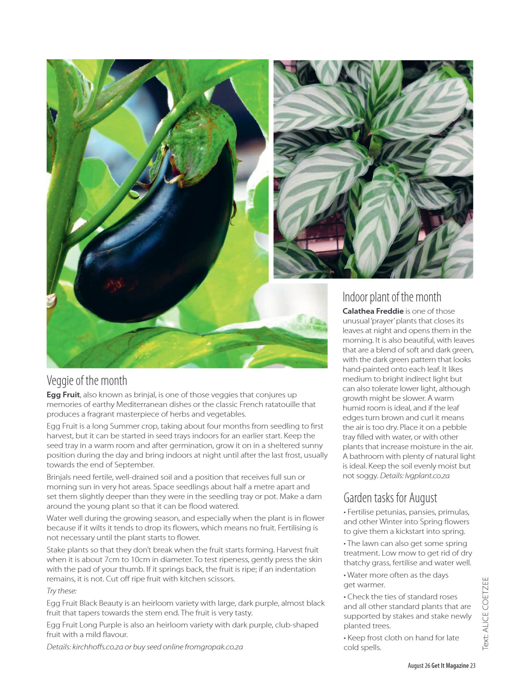 Get it JHB West – August 2026 page 23