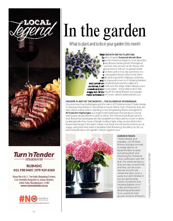 Get it JHB West – Dec 2021 / Jan 2022 page 28