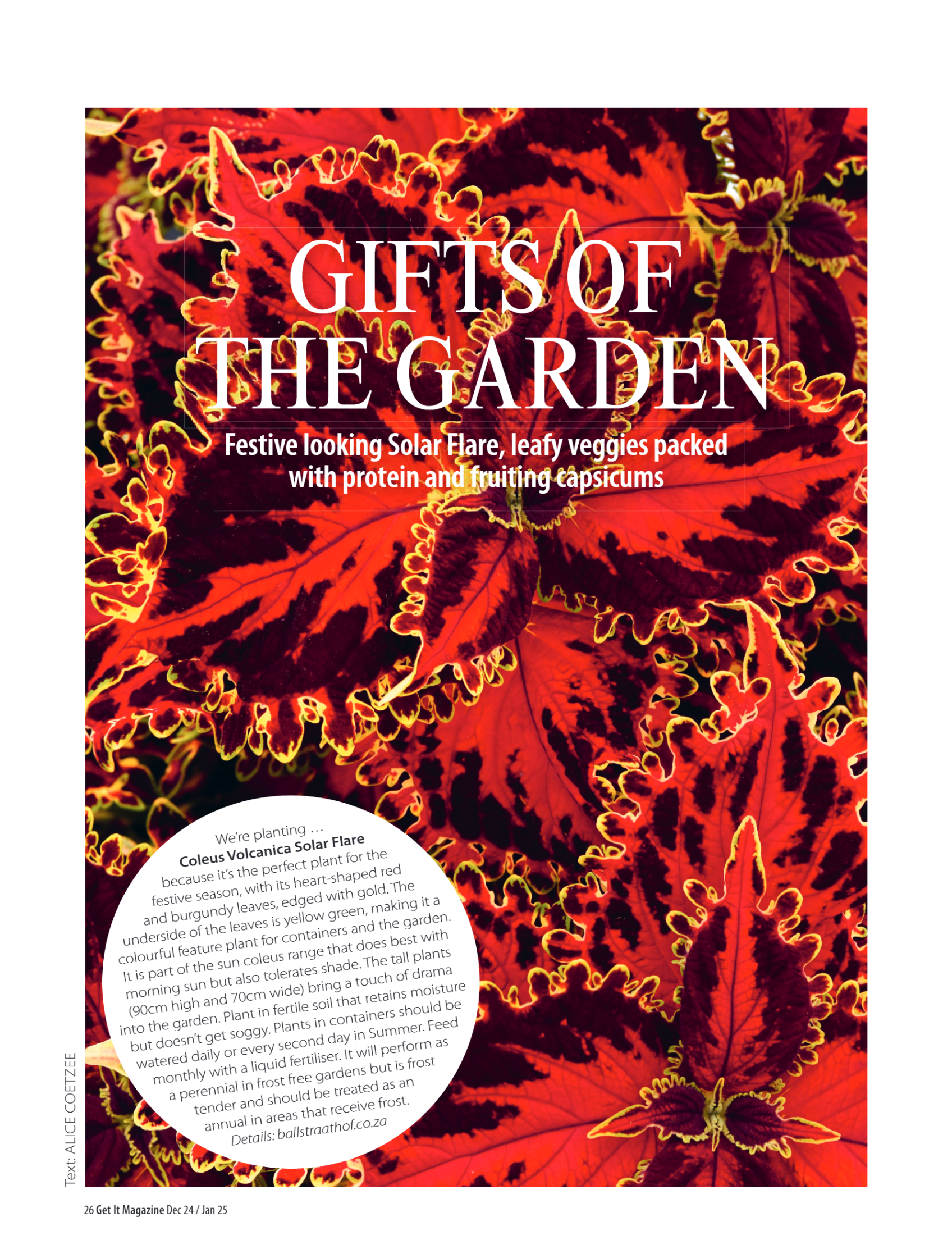 Get it JHB West – Dec 2024 – Jan 2025 page 26