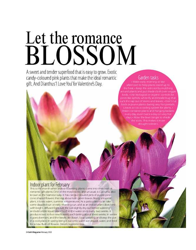 Get it JHB West – February 2022 page 24