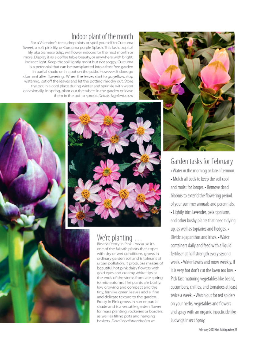 Get it JHB West – February 2023 page 25