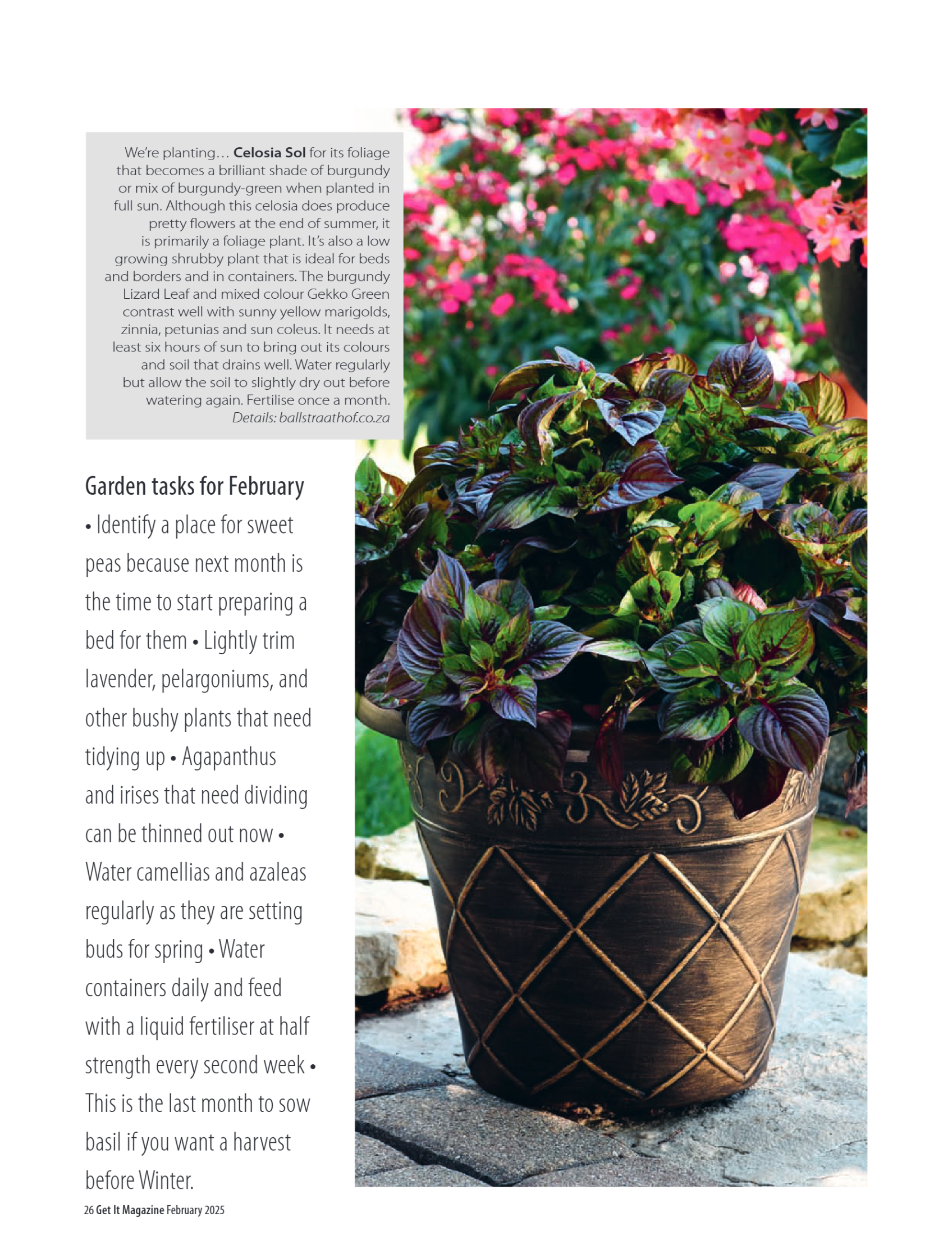 Get it JHB West – February 2025 page 26