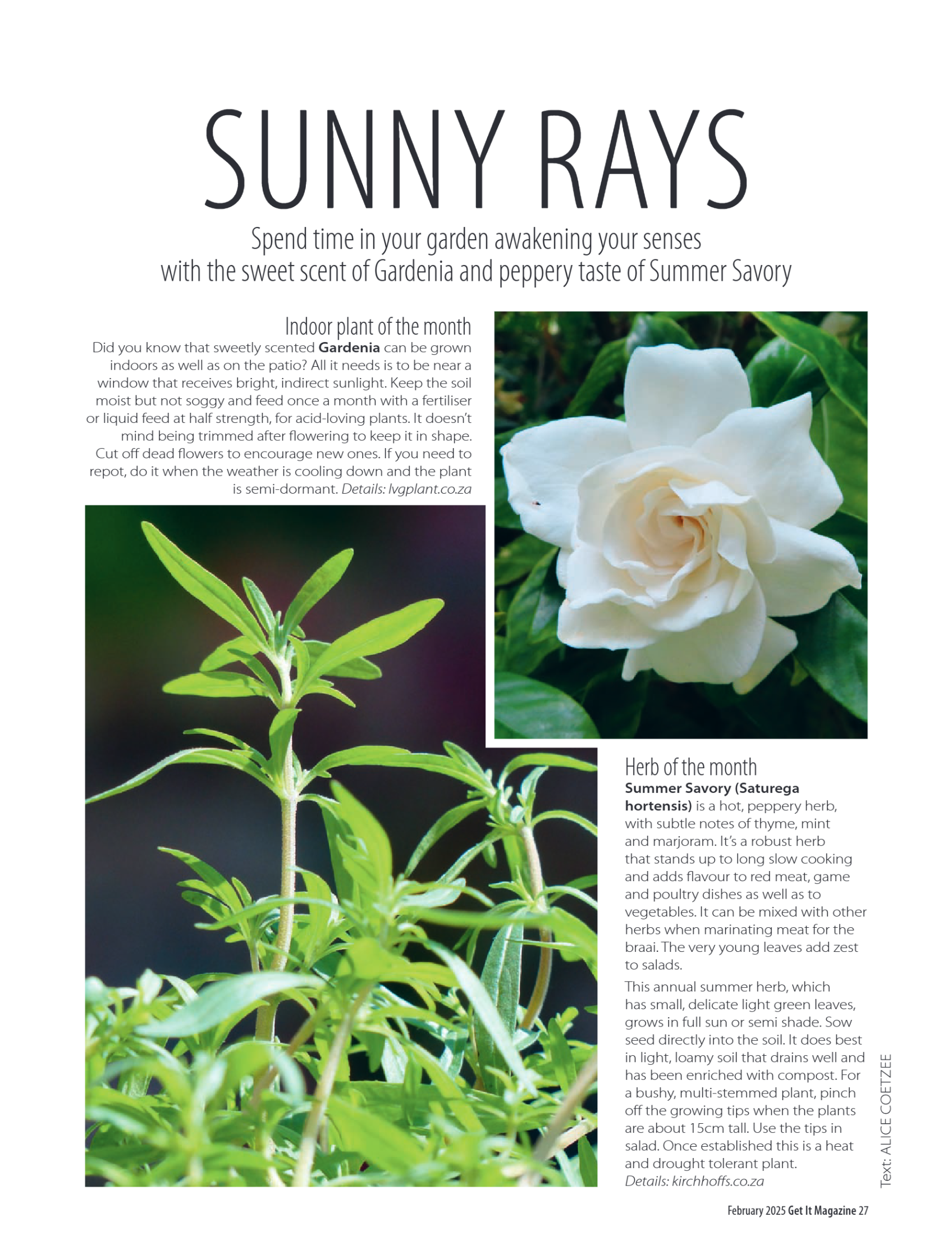 Get it JHB West – February 2025 page 27