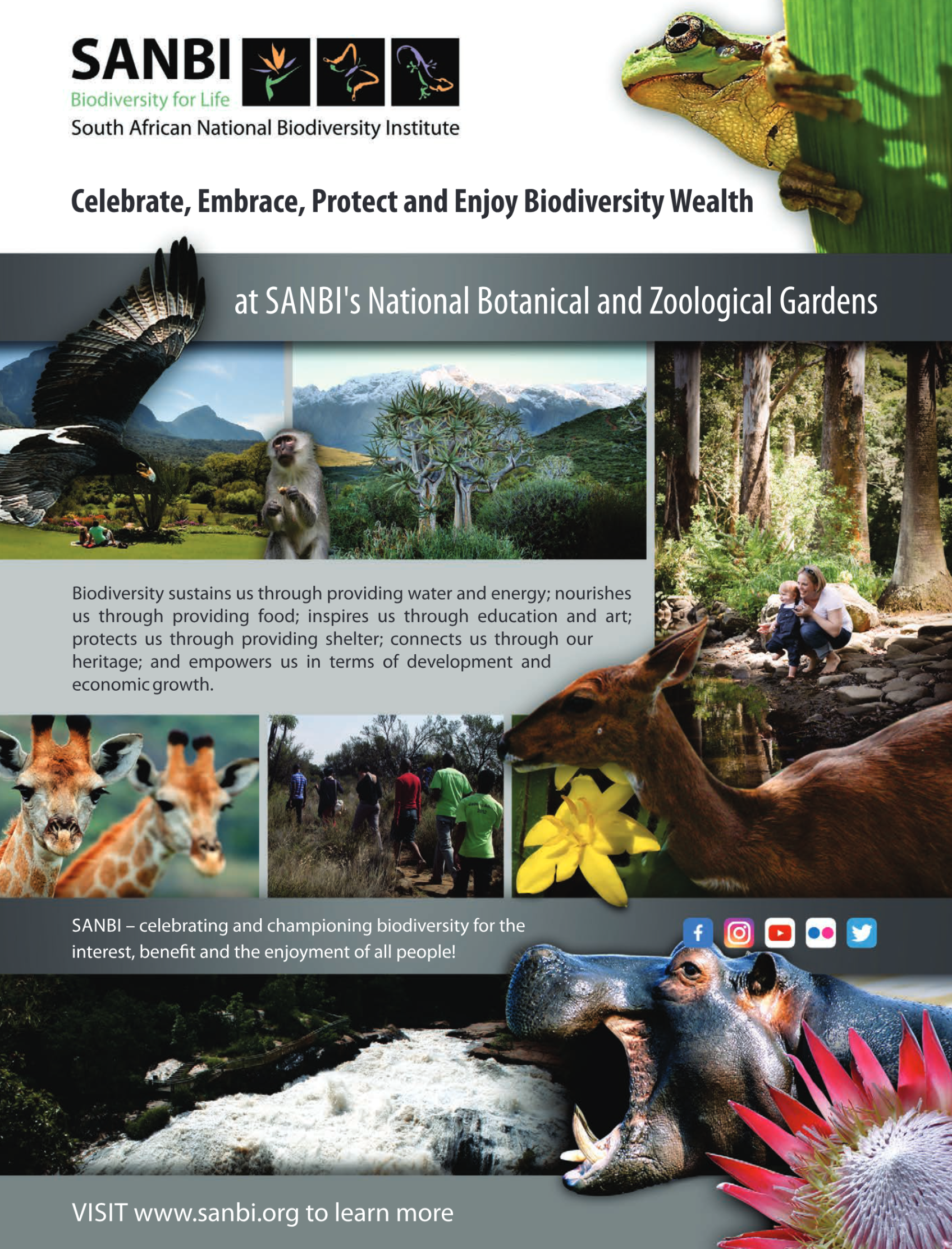 Get it JHB West – February 2025 page 36