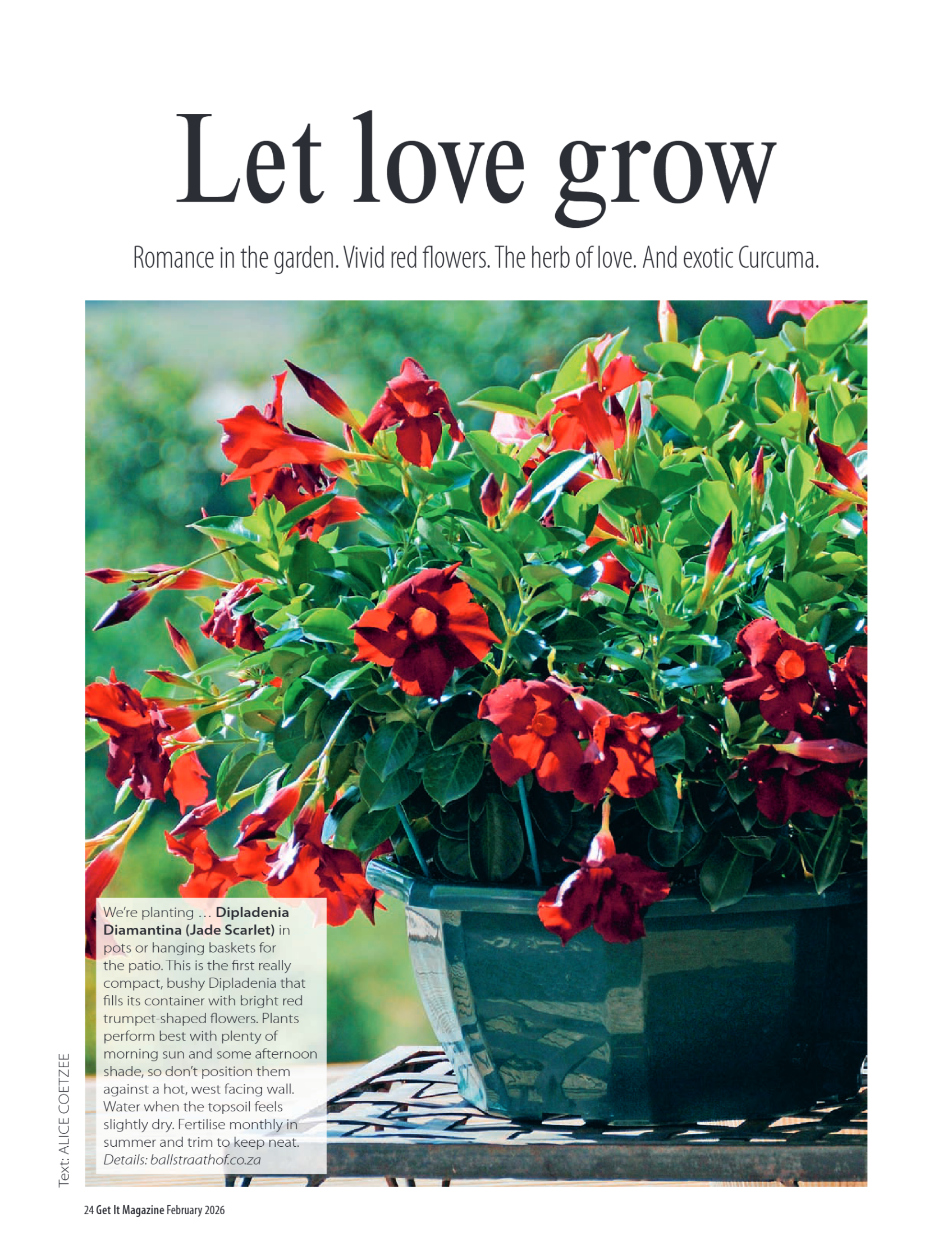 Get it JHB West – February 2026 page 24