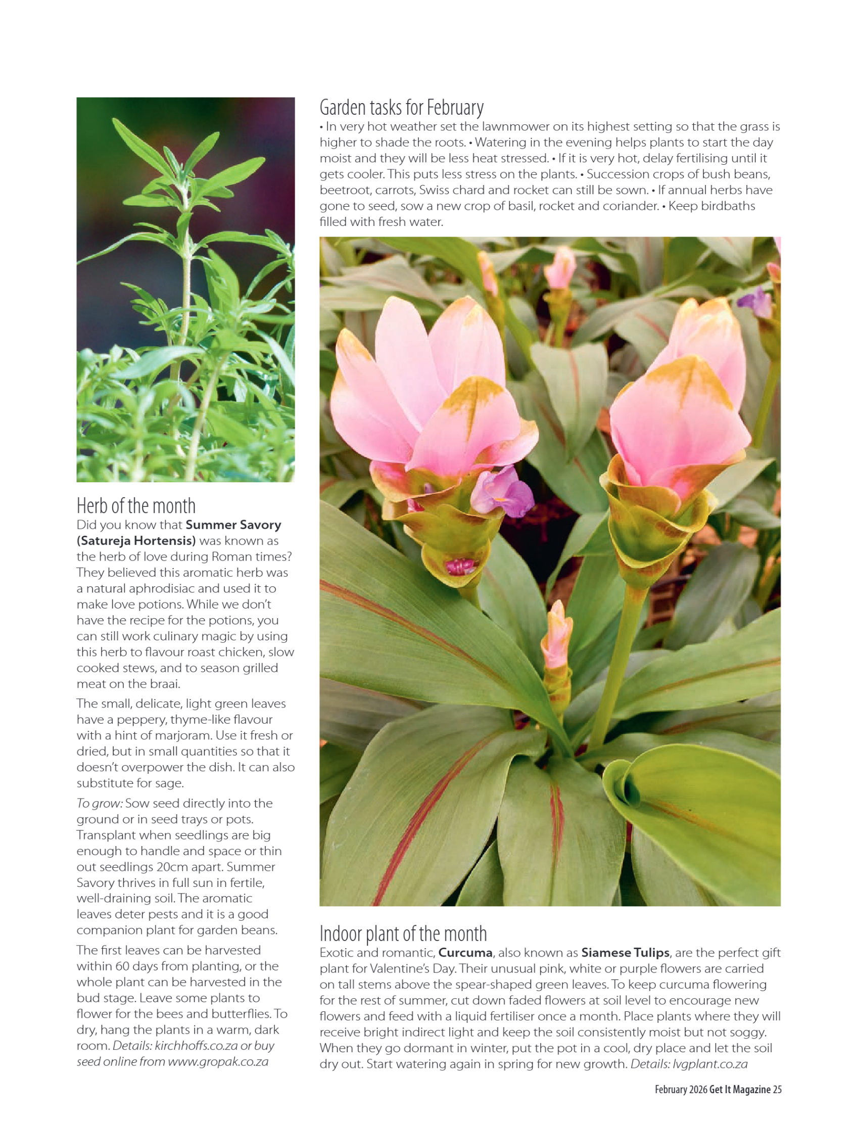 Get it JHB West – February 2026 page 25