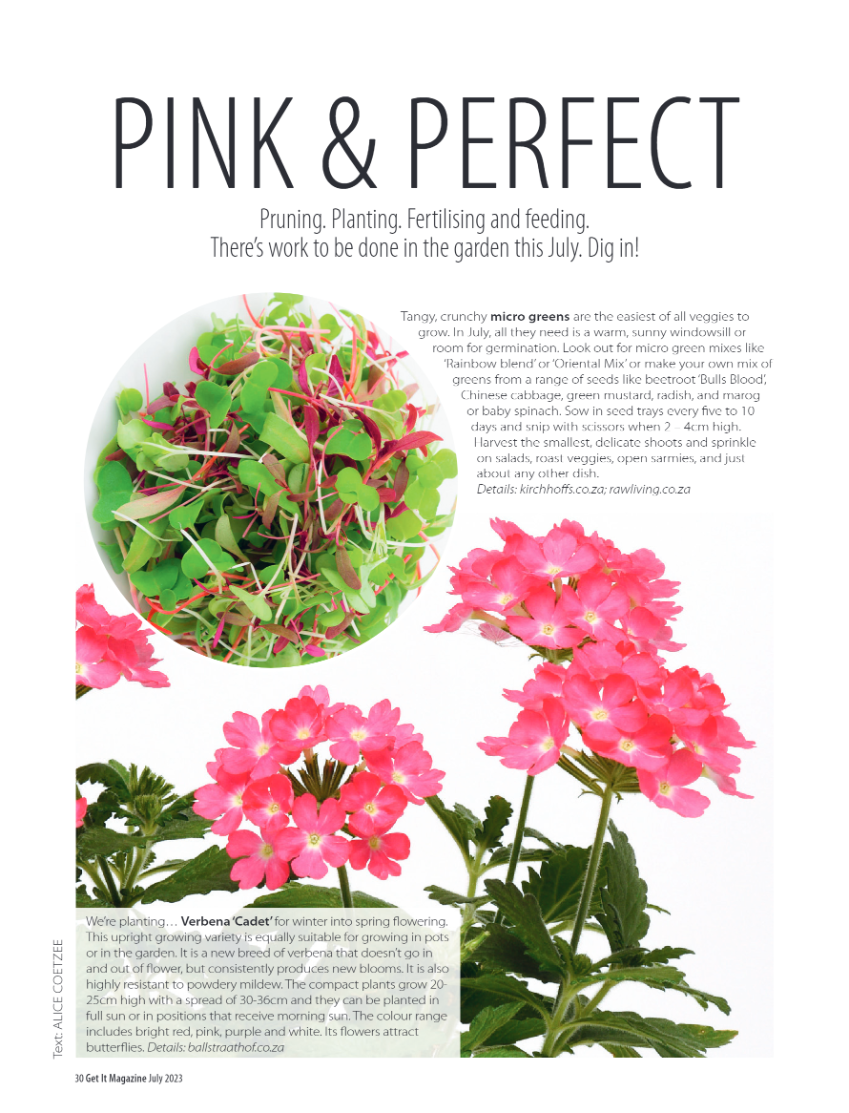 Get it JHB West – July2023 page 30