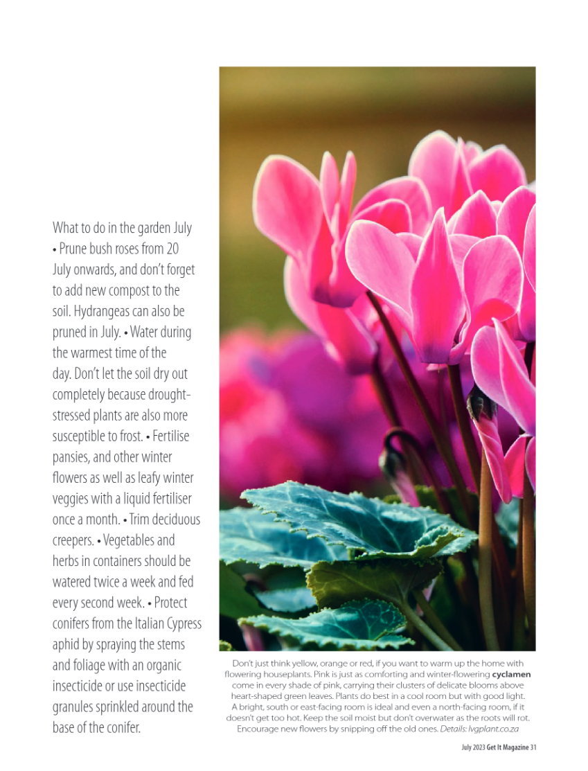 Get it JHB West – July2023 page 31