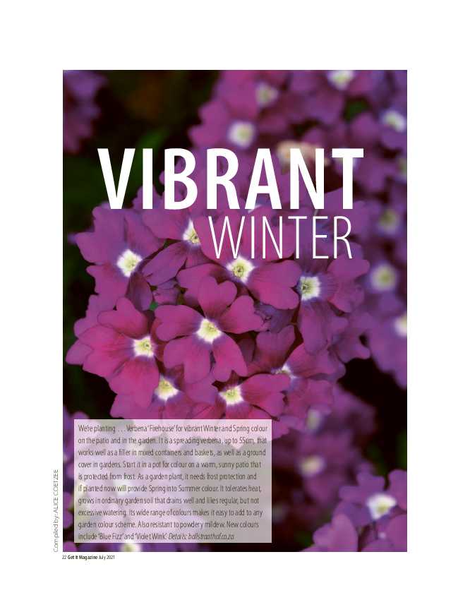 Get it JHB West – July 2021 page 22