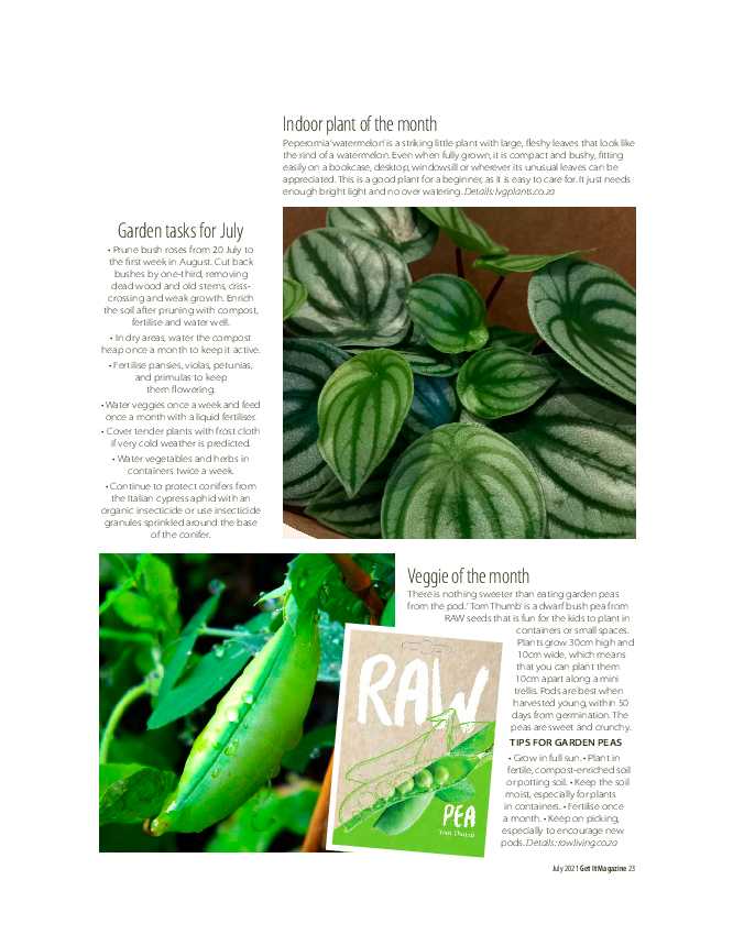 Get it JHB West – July 2021 page 23